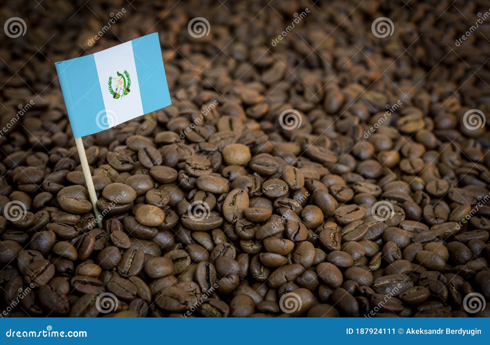 how to import coffee beans