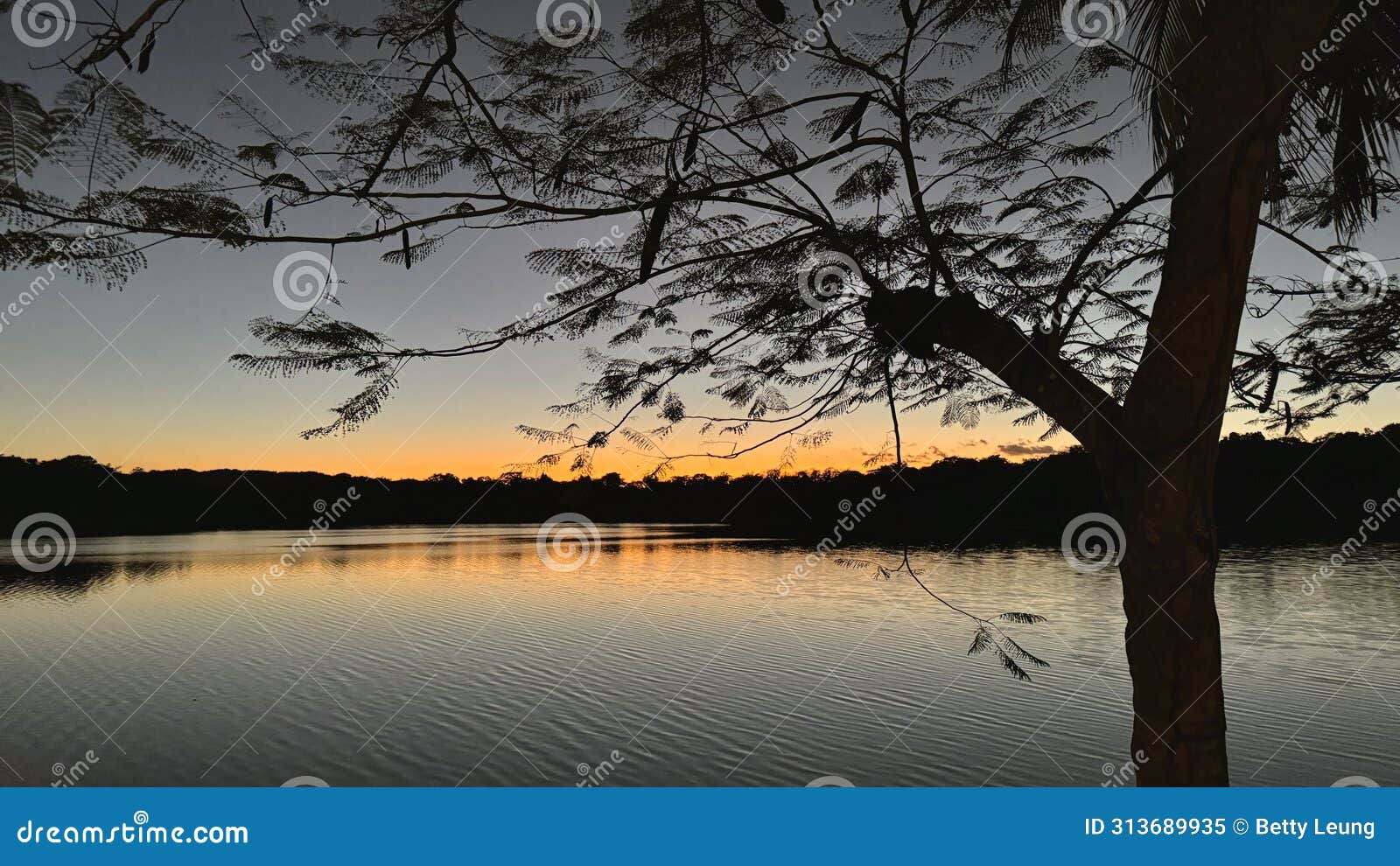 golden sunset at laguna petenchel in peten, guatemala