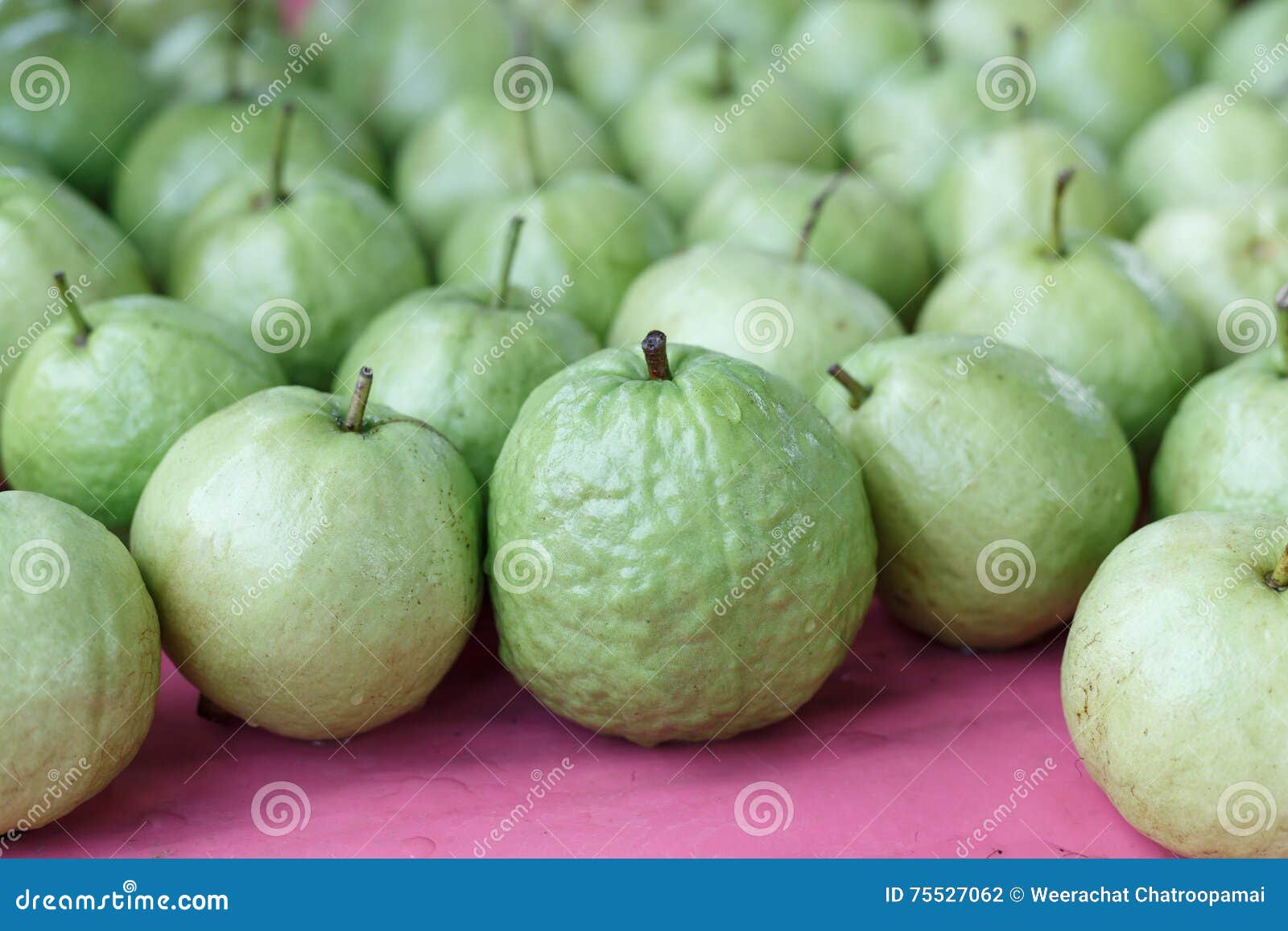 Guava fruit fresh stock photo. Image of object, guava 75527062