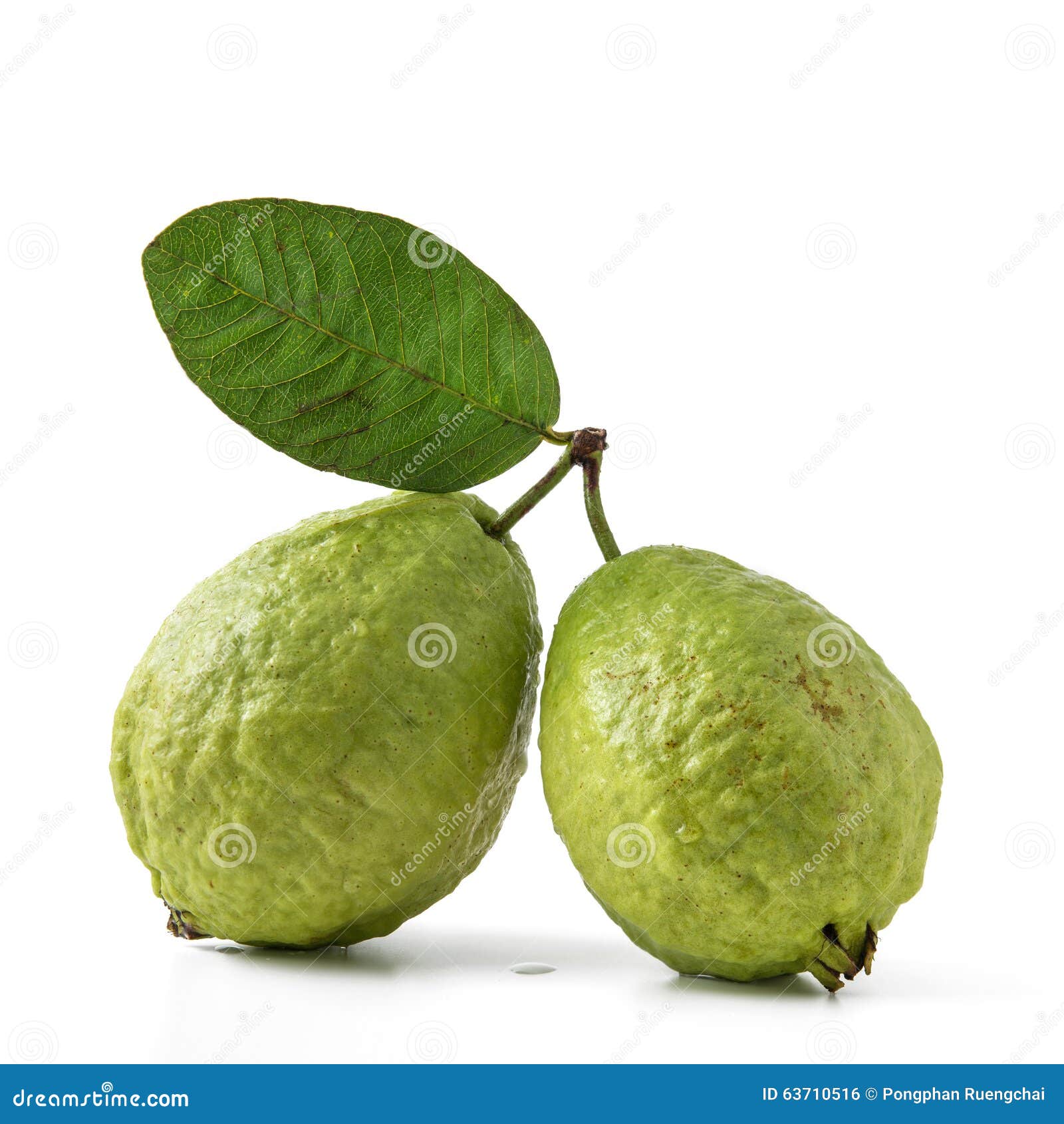 Guava fruit stock photo. Image of background, leaf, freshness 63710516