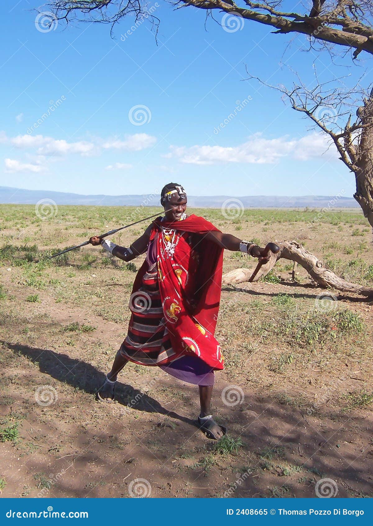 Guerrier de Massai image stock. Image du ferme, juste - 2408665