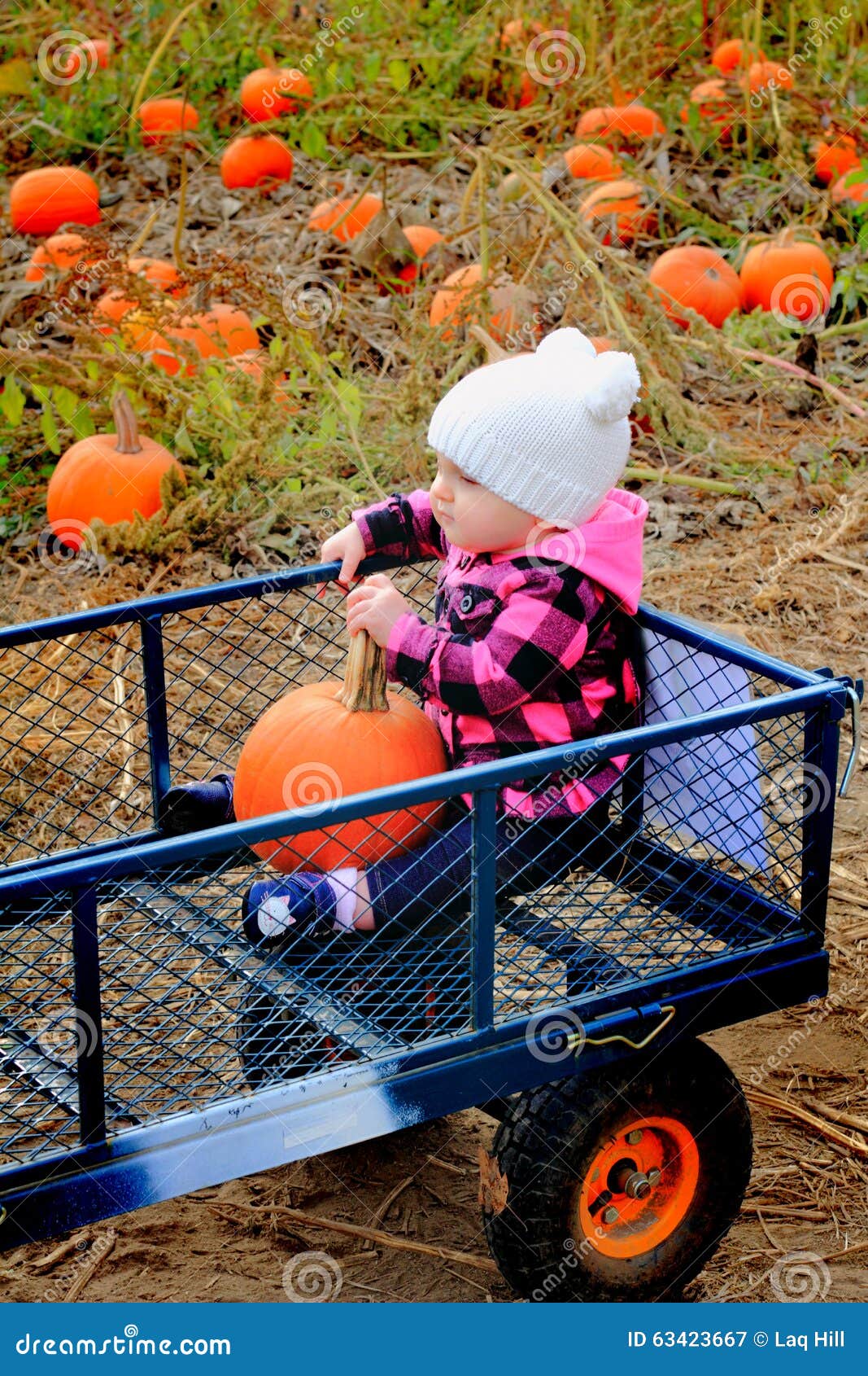 Guida del bambino in vagone della toppa della zucca. Un bambino sveglio che porta un cappello bianco del calzino sta guidando in un vagone della toppa della zucca Profondità del campo poco profonda