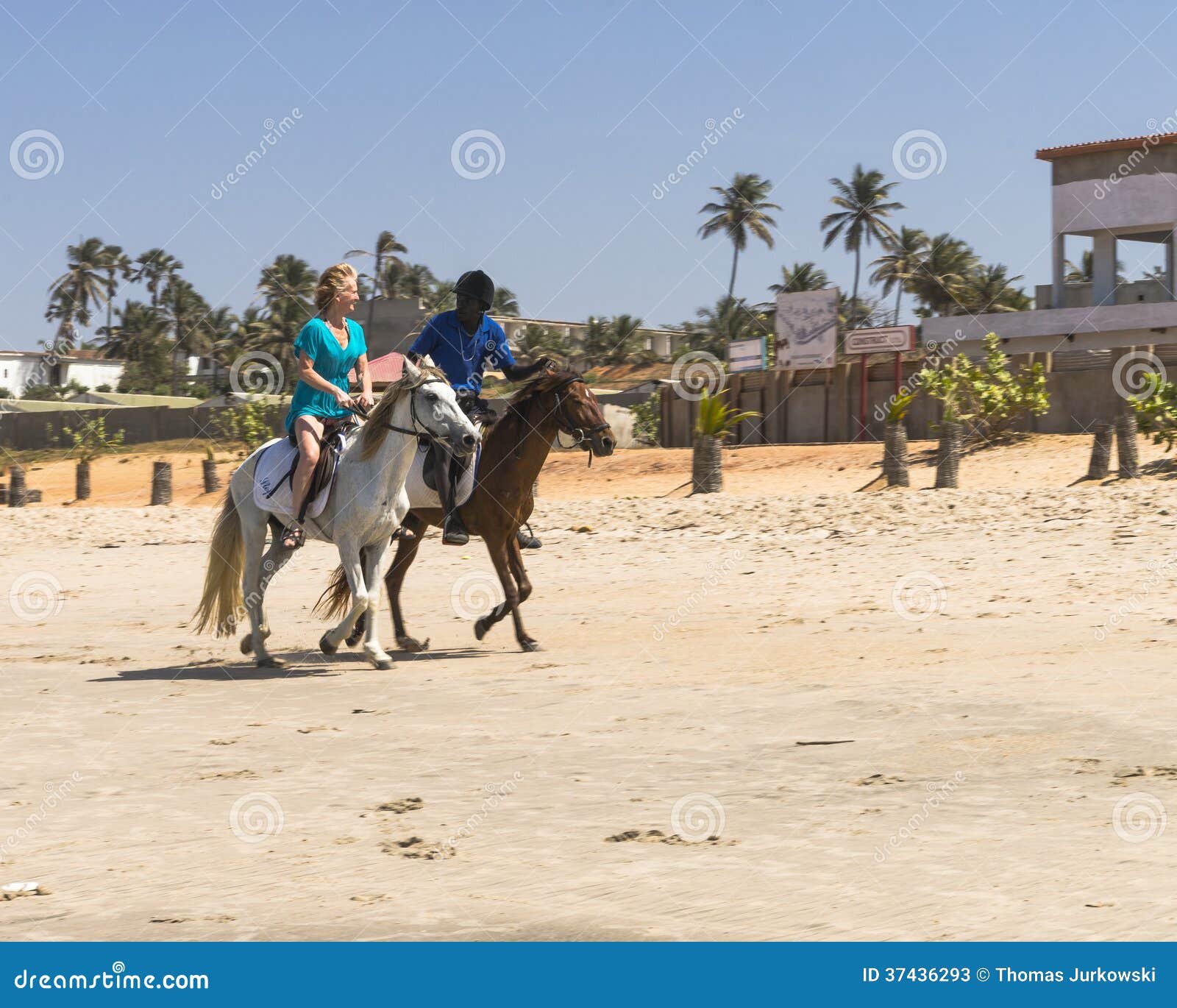 Guidando sulla spiaggia. Equitazione sulla spiaggia sull'Oceano Atlantico in Gambia. L'Africa

http://www.gambiatourguides.co.uk/horse-riding.php