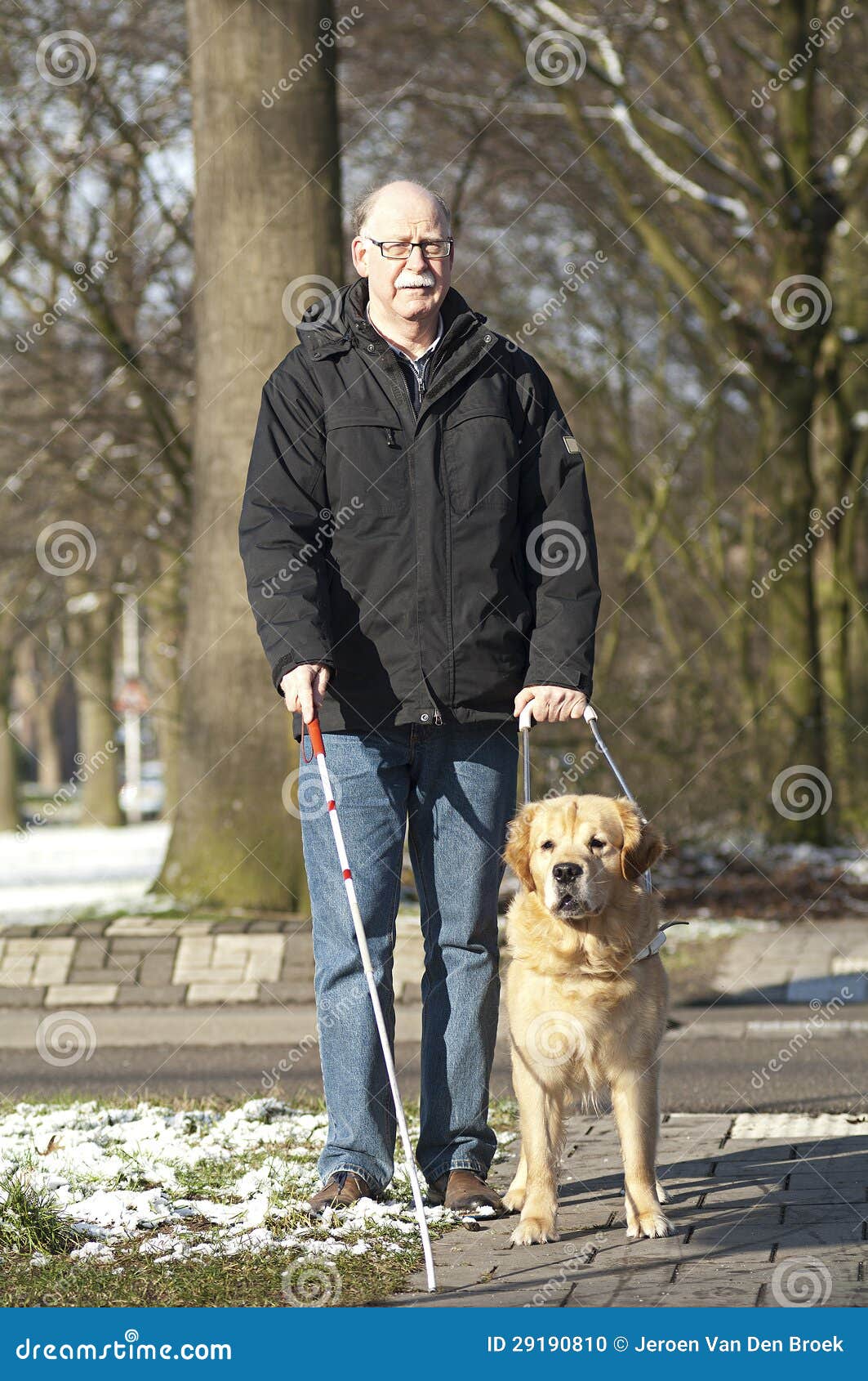 Guide Dog Is Helping A Blind Man Stock Photo Image of 