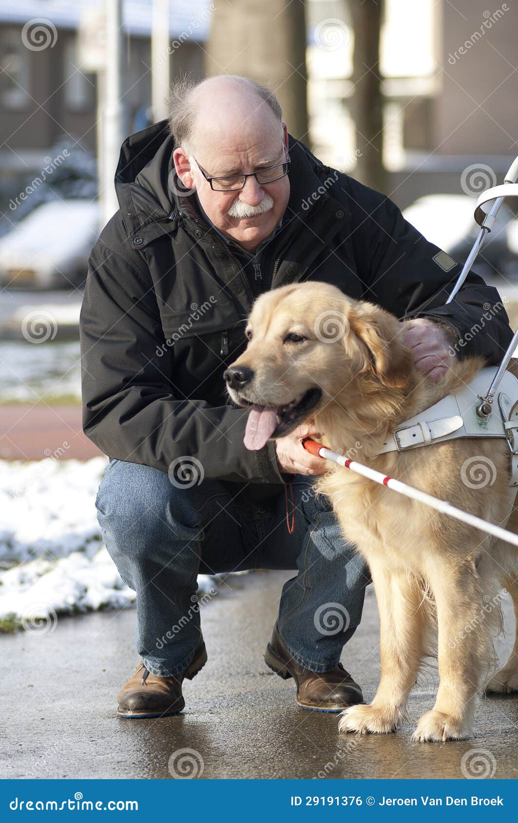 Guide Dog Is Helping A Blind Man Stock Photo Image of 