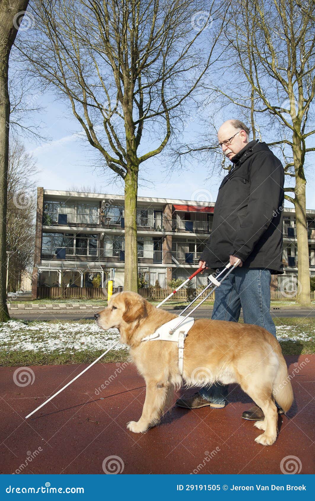 Guide Dog Is Helping A Blind Man Stock Image Image 29191505
