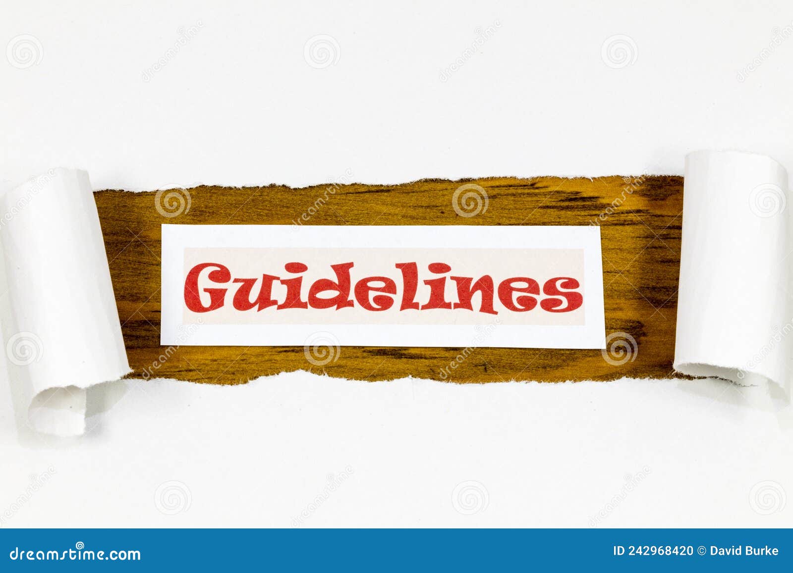 guidelines busines template  visual identity manual follow guideline