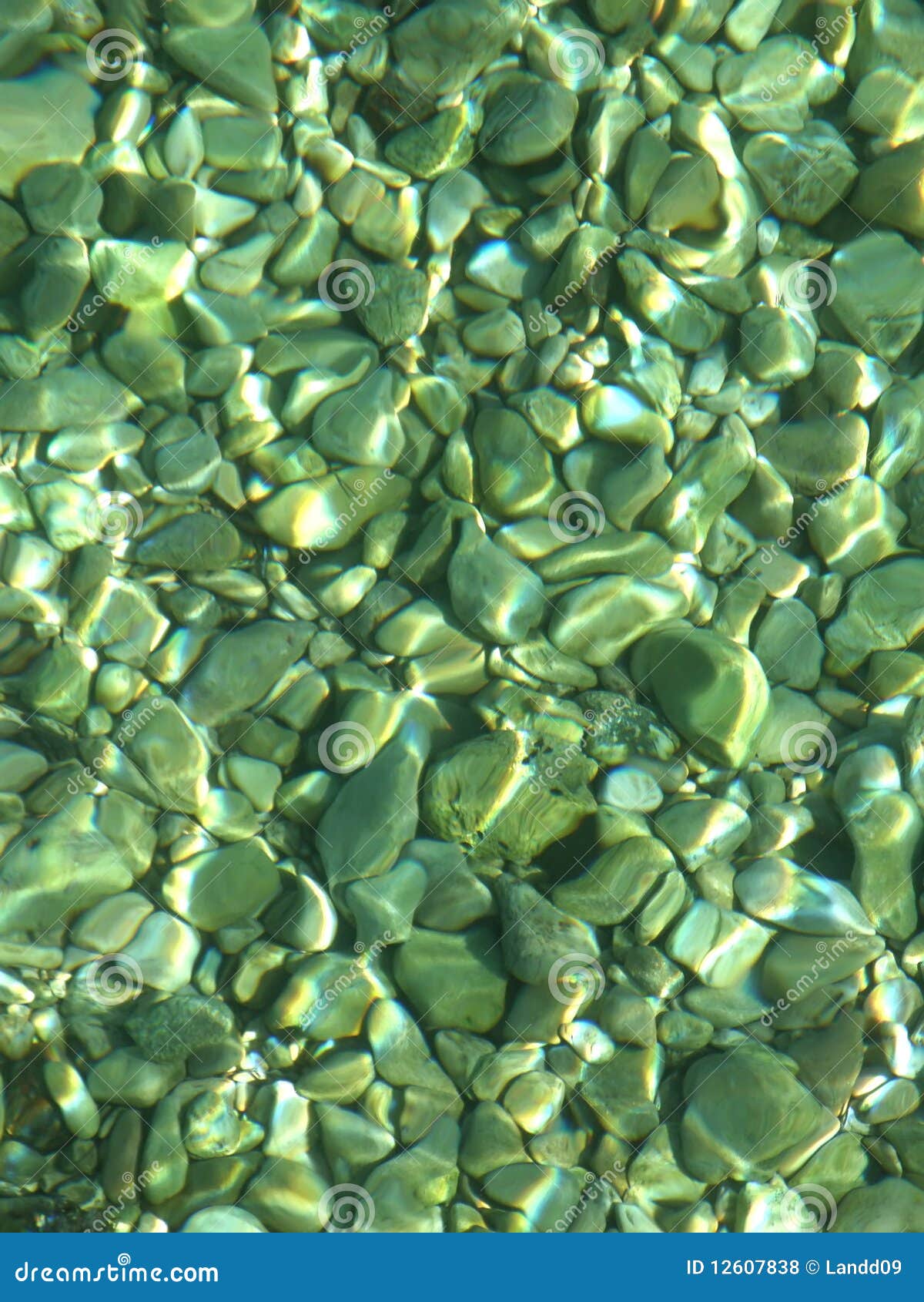 Guijarros verdes de la falta de definición en el mar. Reflexión y guijarros en el mar adriático verde
