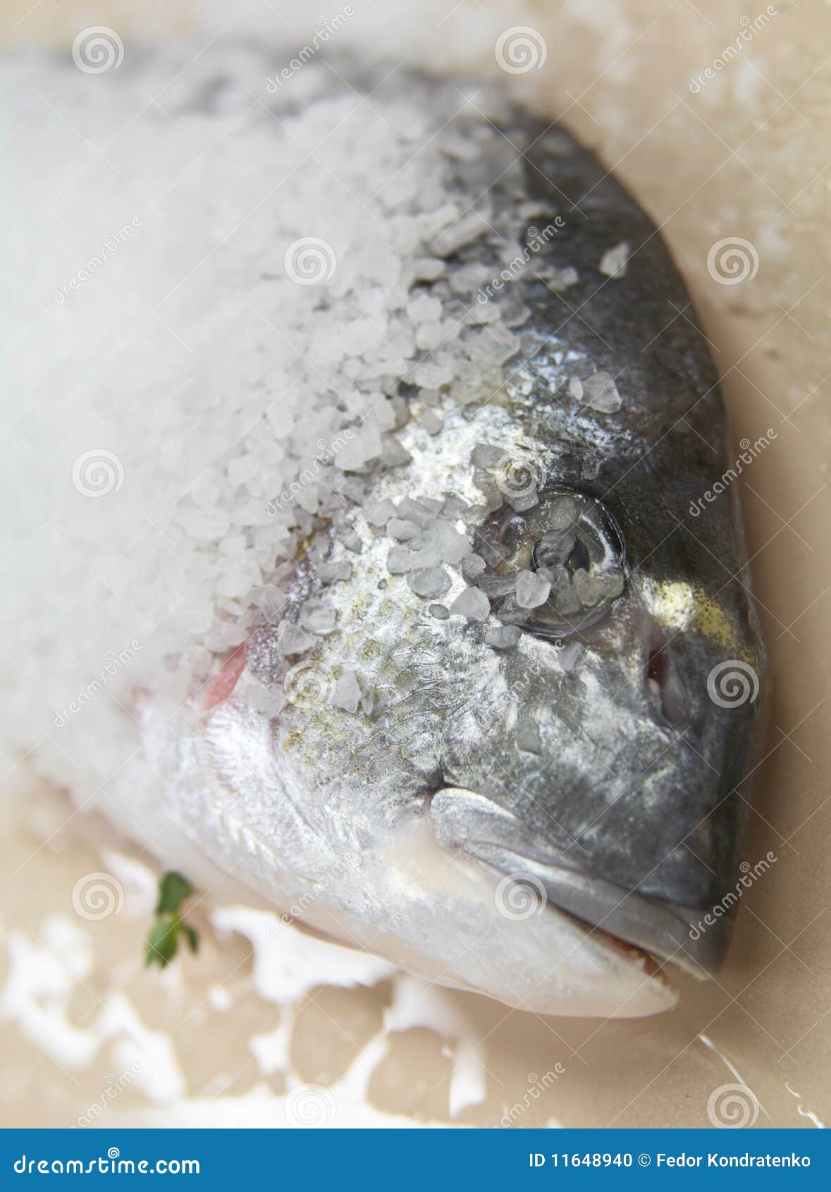 Guilthead Bream (dorade) in Salt Coating Stock Photo Image of dorado, restaurant 11648940
