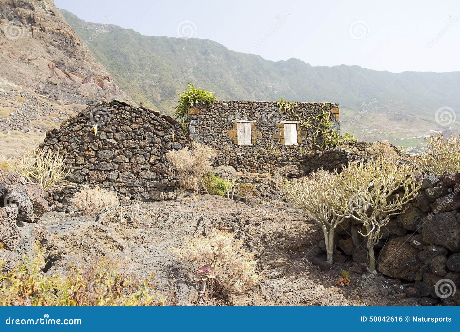 guinea, el hierro