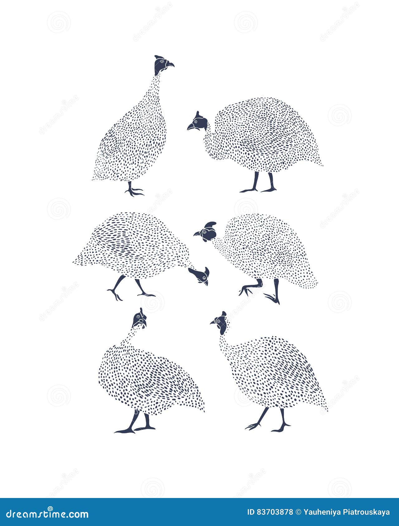 guinea fowls 