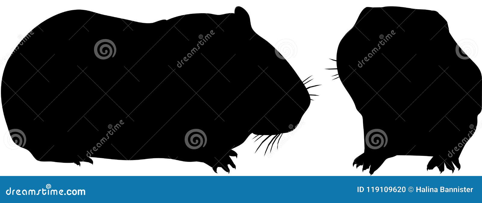 Guinea Pig Cavy Silhouette stock illustration ...
