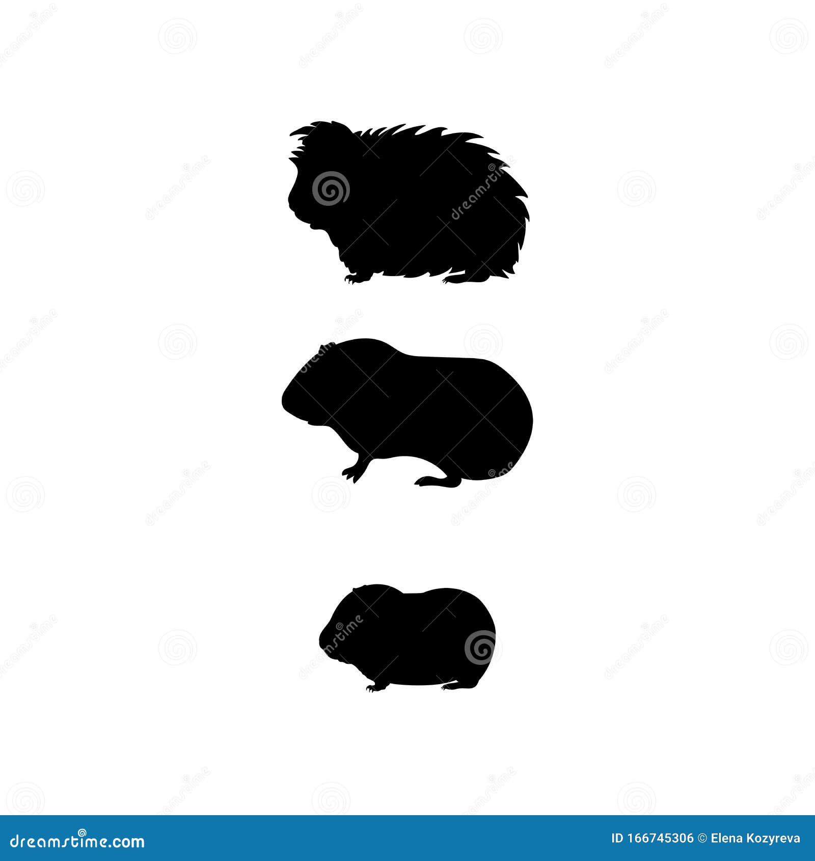 Download Guinea Pig Family. Silhouettes Of Pet Animals Stock Vector ...