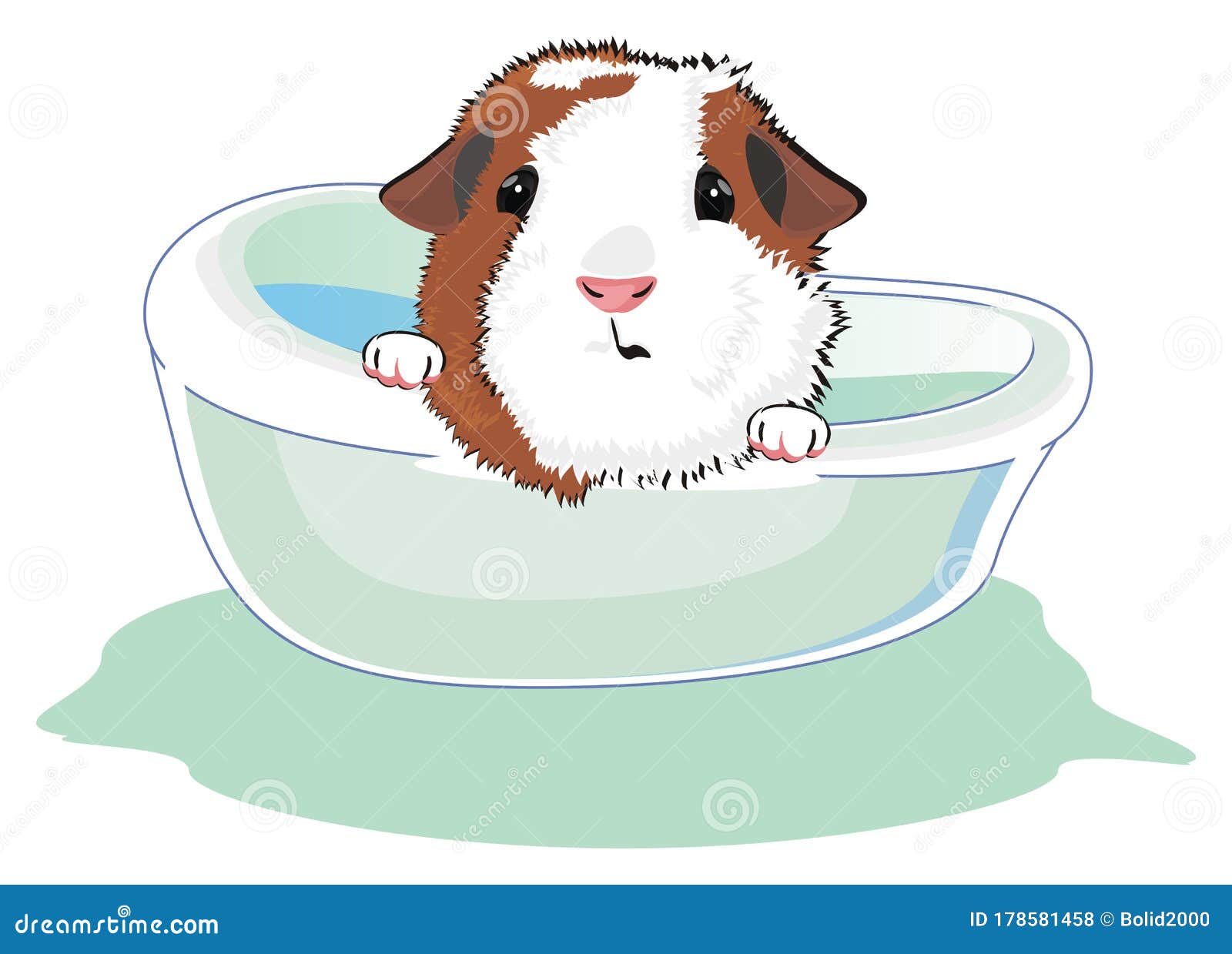 Guinea Pig are Swimming in Bath Stock Illustration Illustration of