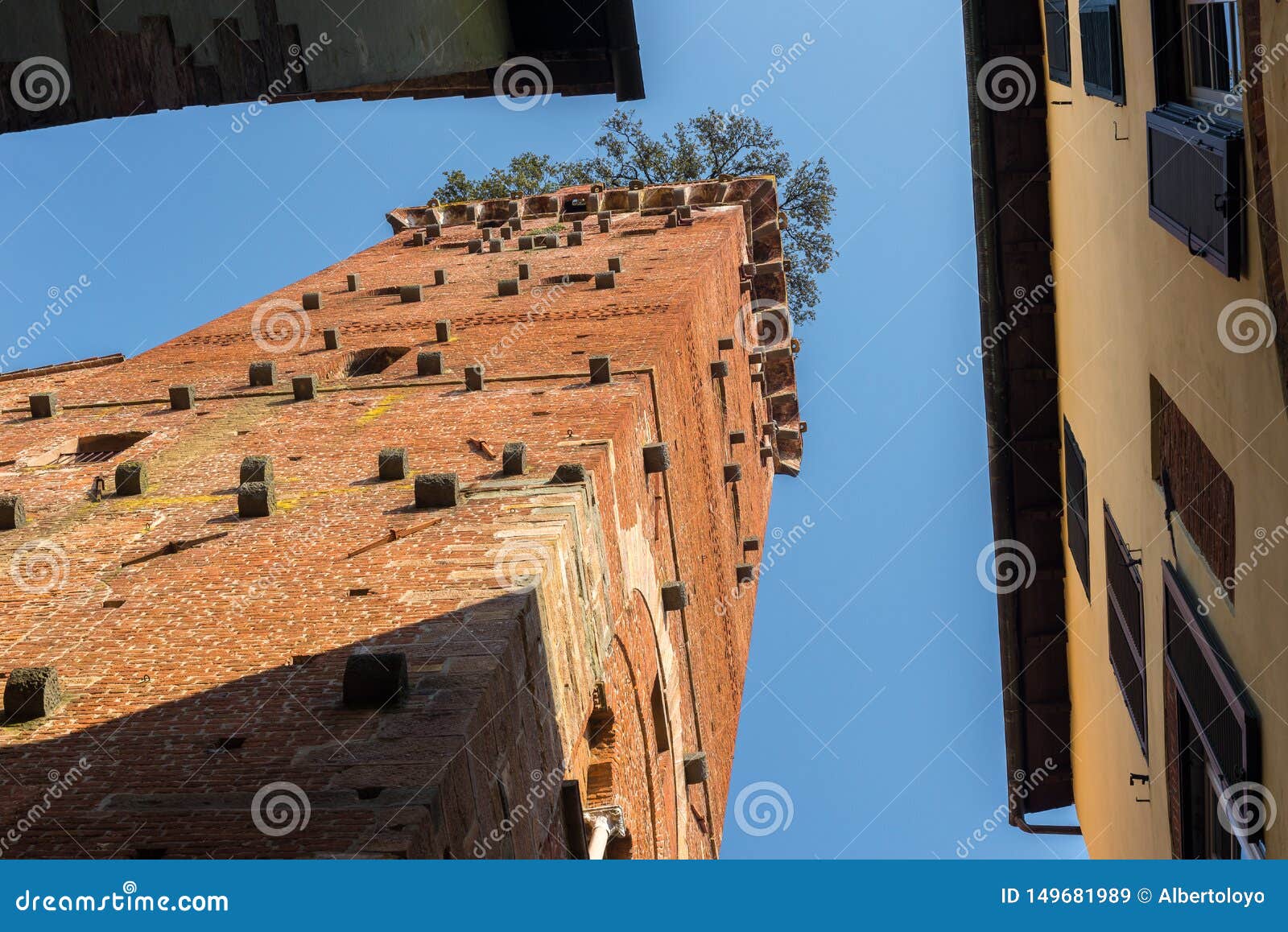 guinigi tower in lucca, italy