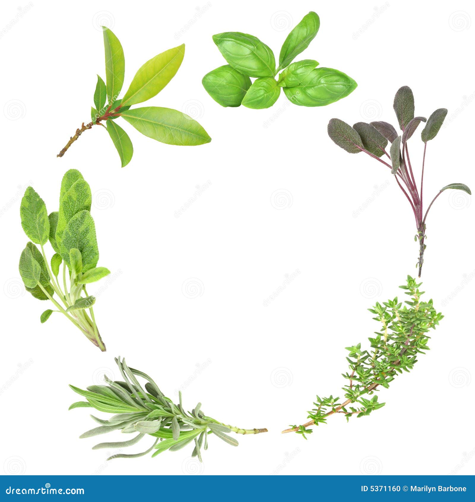 Nohle Guirnalda De Hierba Pompass, Corona De Pampa, Corona | Cuotas Sin Interés