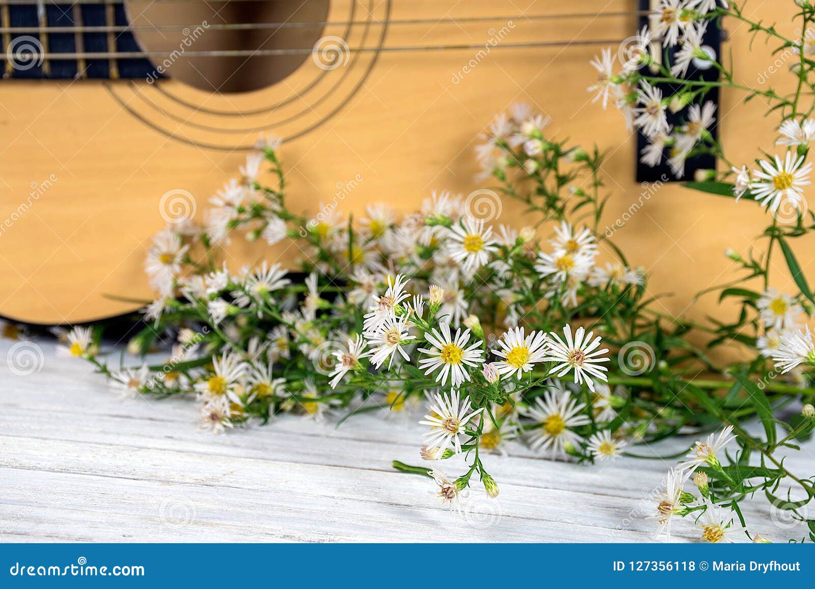 Guitar with Aster Wildflowers on Wood Stock Photo Image of blossom