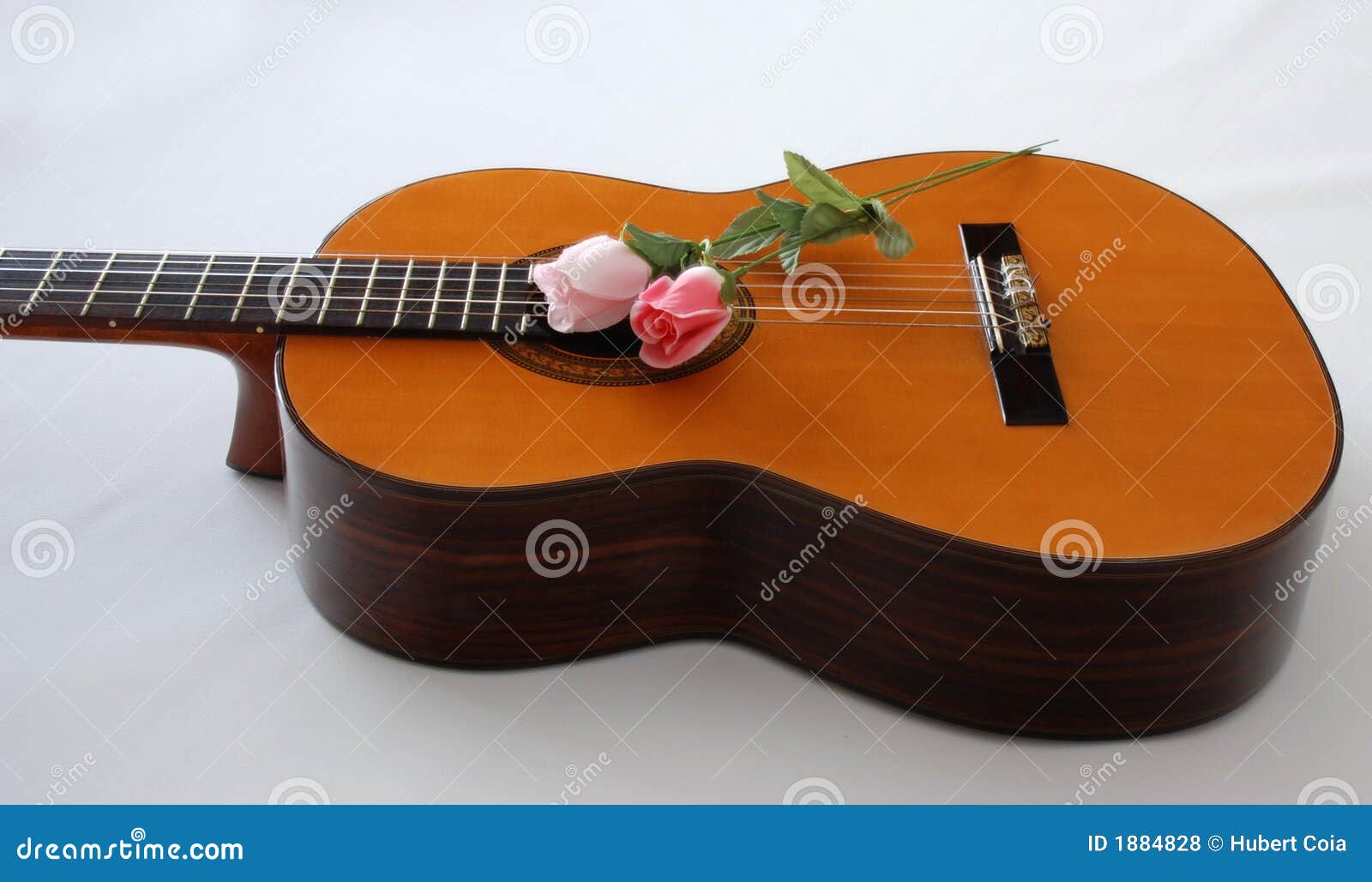 Guitar And Flowers Royalty Free Stock Photos Image 1884828