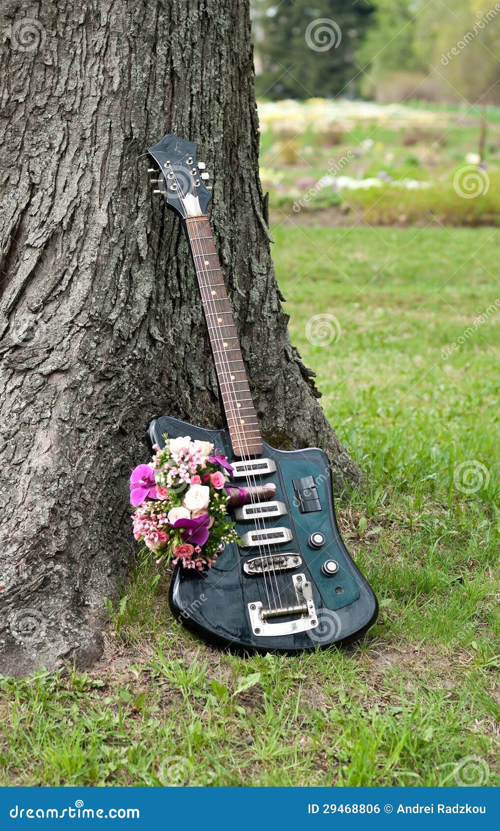 Guitar and flowers stock photo. Image of black, outdoors 29468806