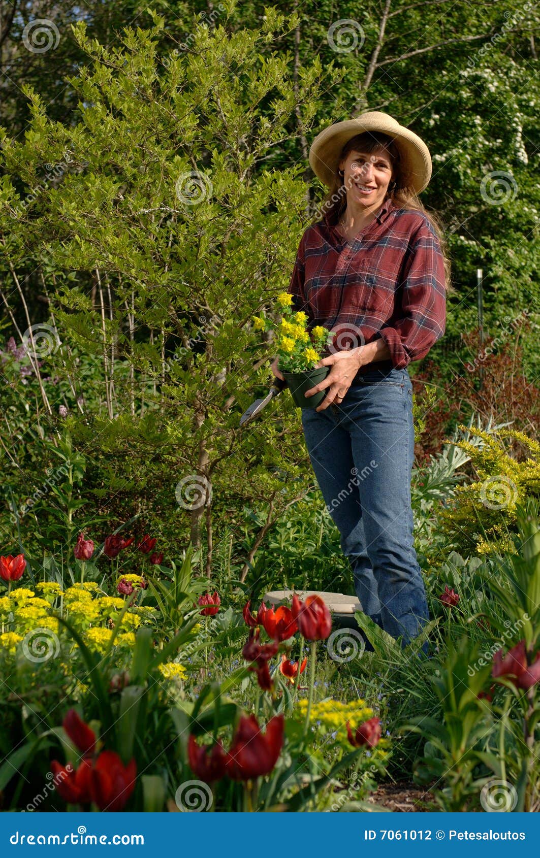 Guitar in the Garden stock photo. Image of musical, play 7061012