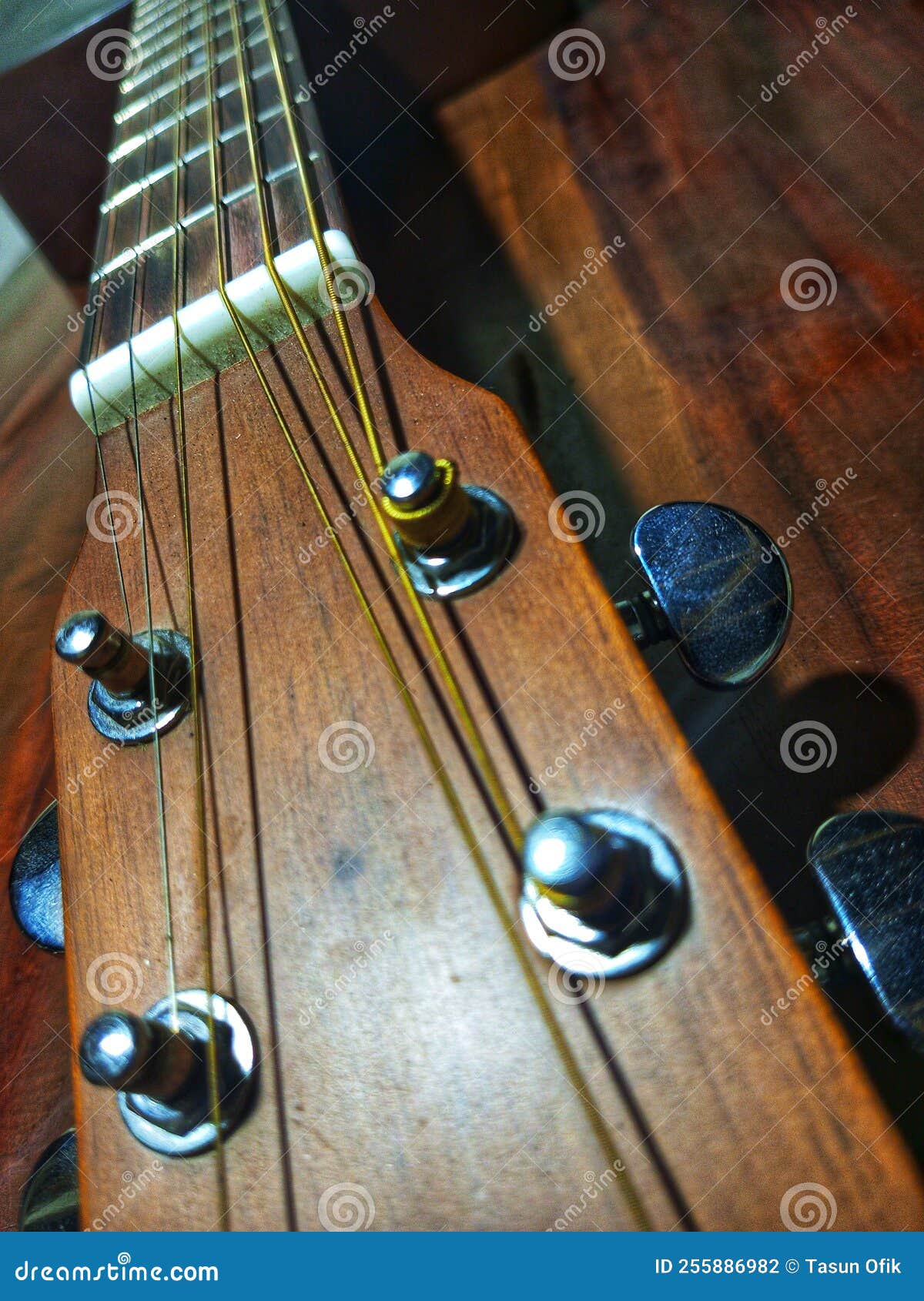 Guitar Headstock Tuning Pegs Stock Photo Image of pegs, headstock