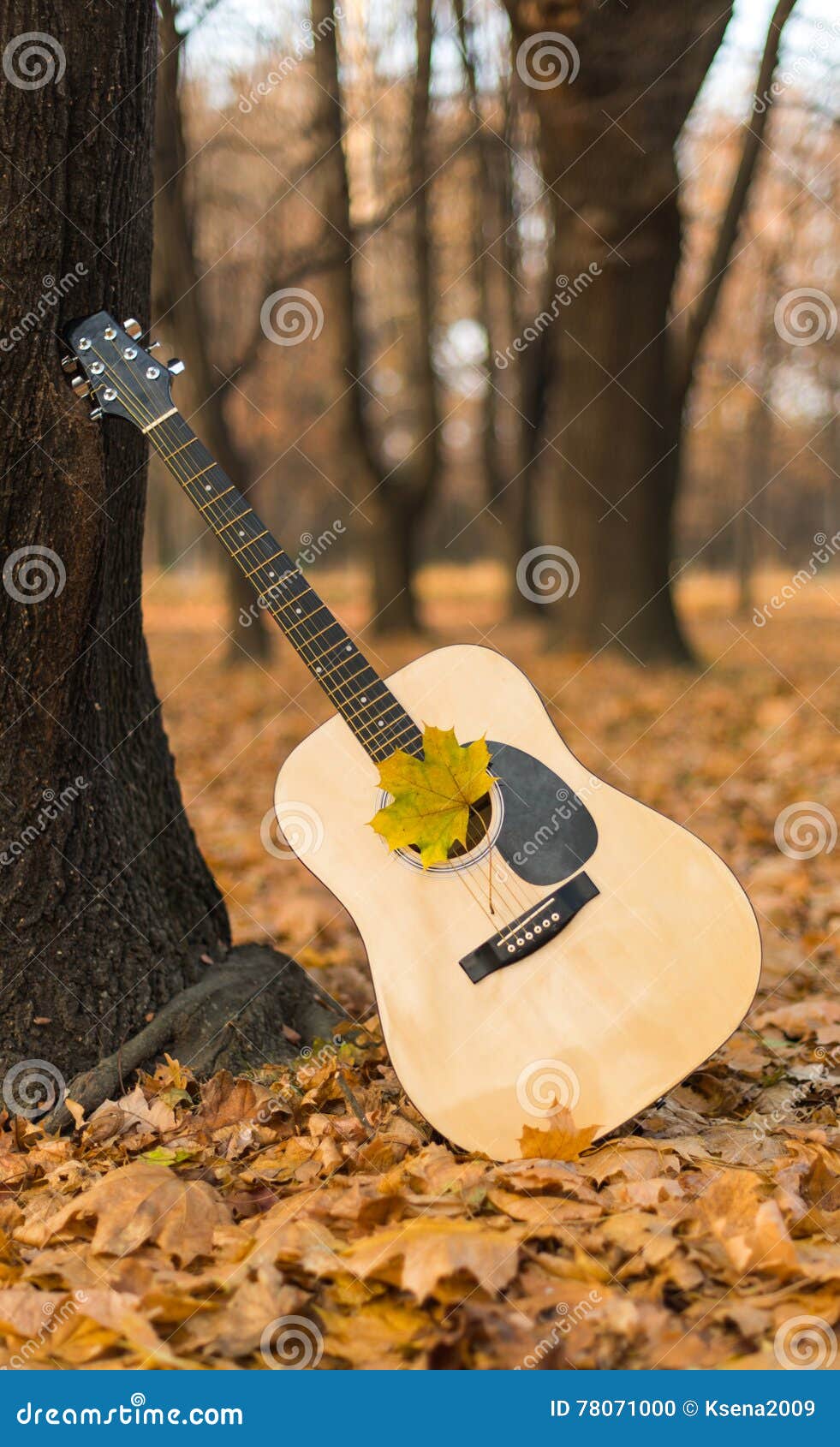 Guitar in nature stock photo. Image of female, acoustic 78071000