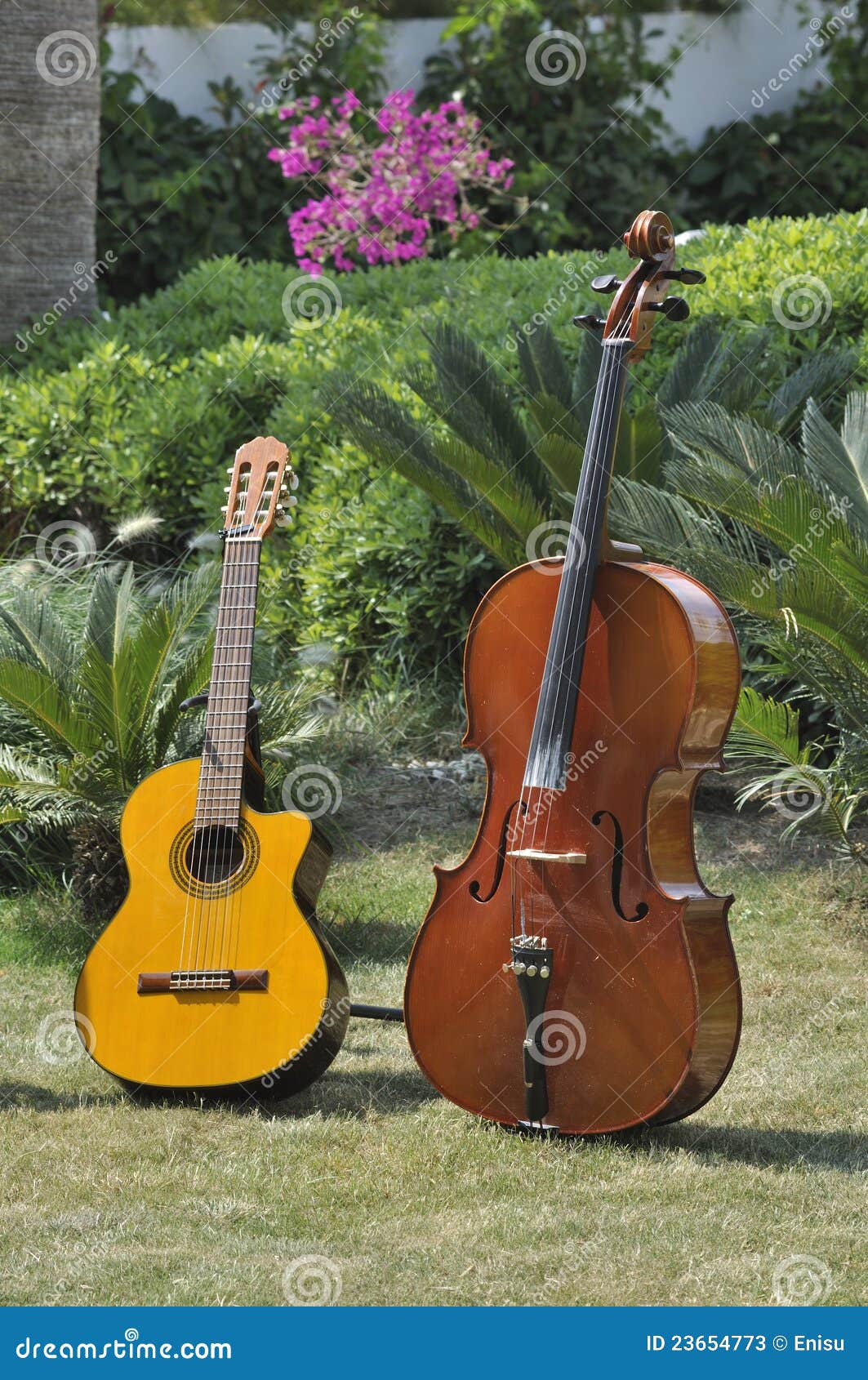 Guitar nd cello stock image. Image of sound, instrument 23654773