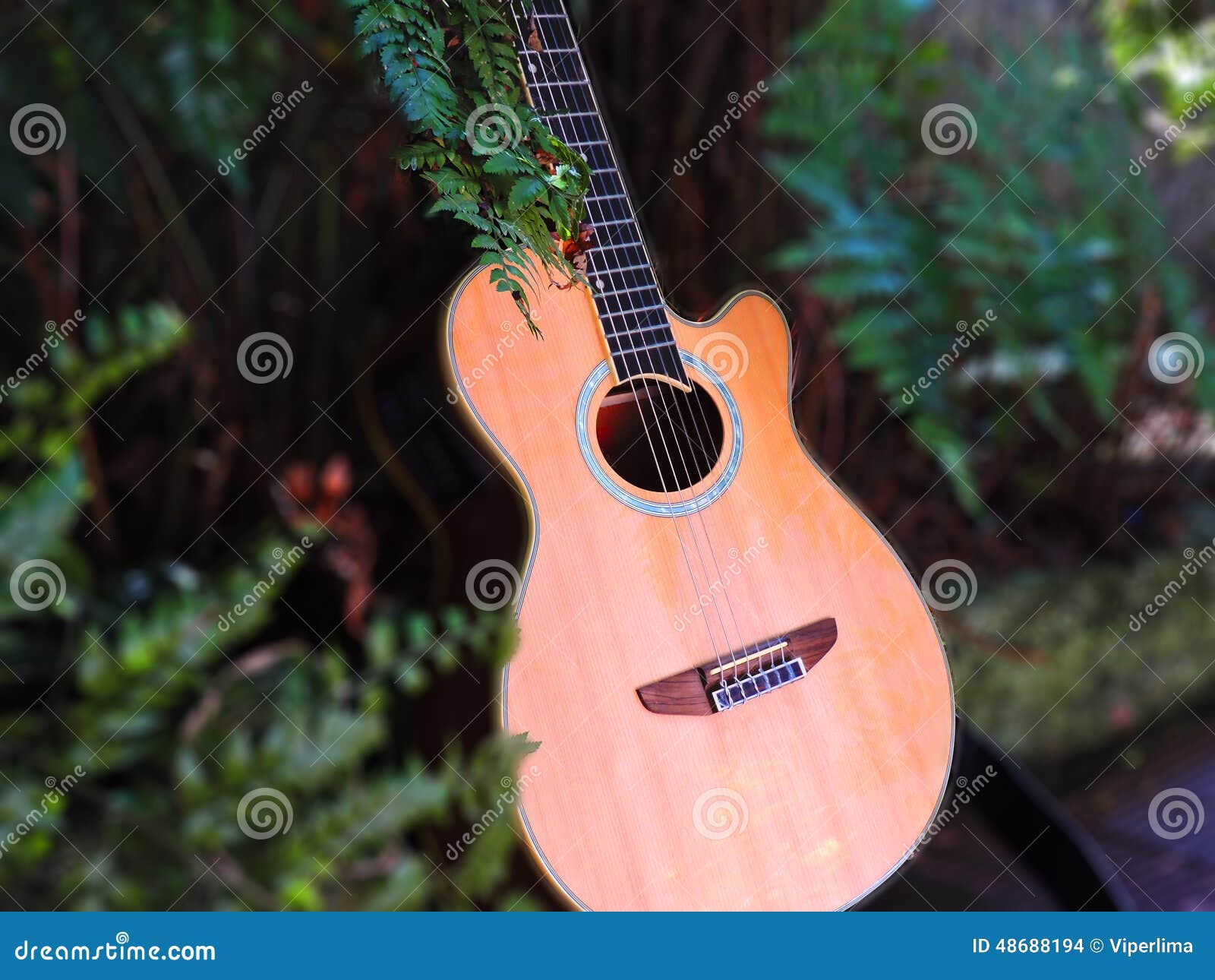 guitar