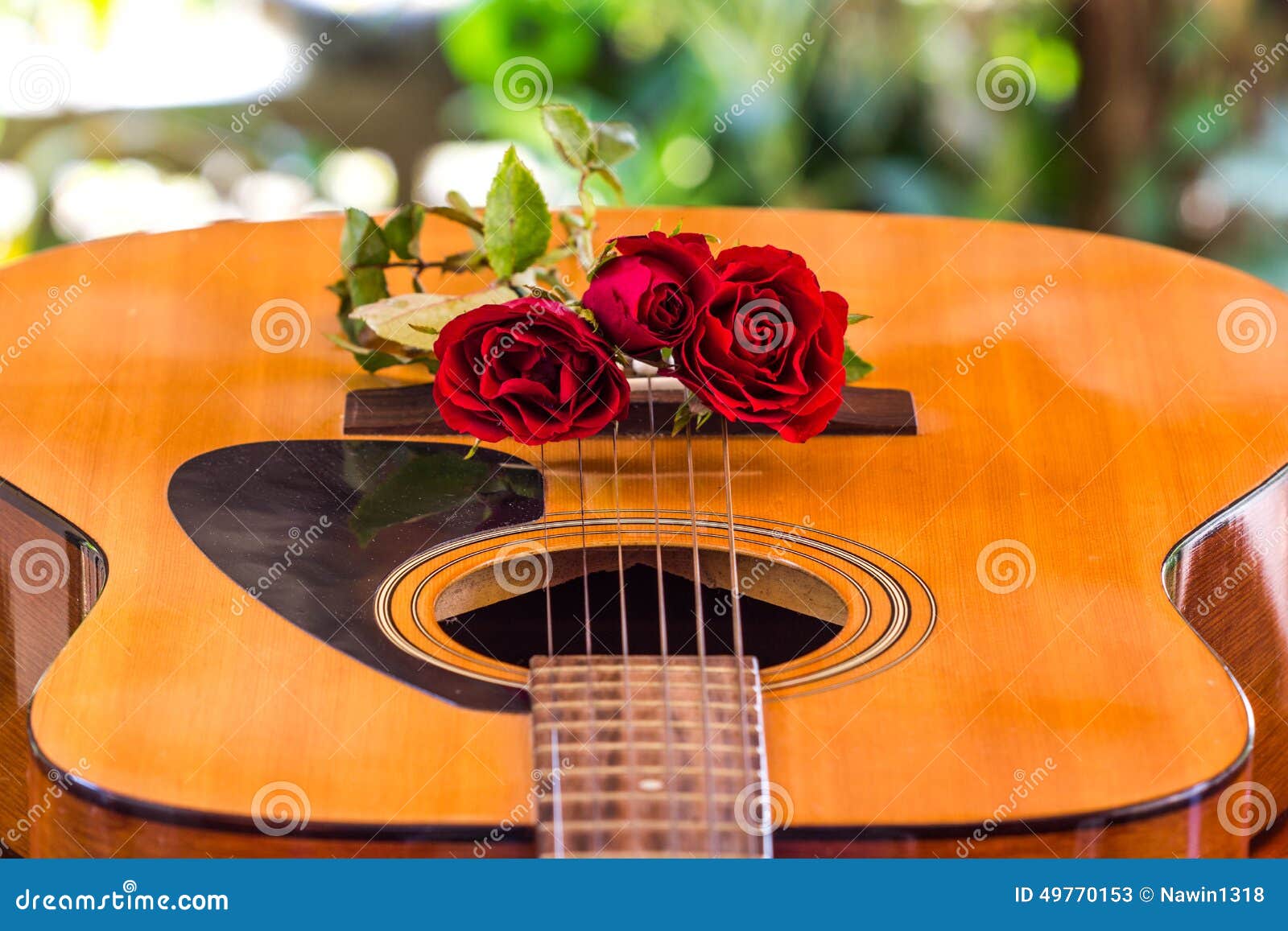 Guitar and rose stock image. Image of blur, revival, music 49770153
