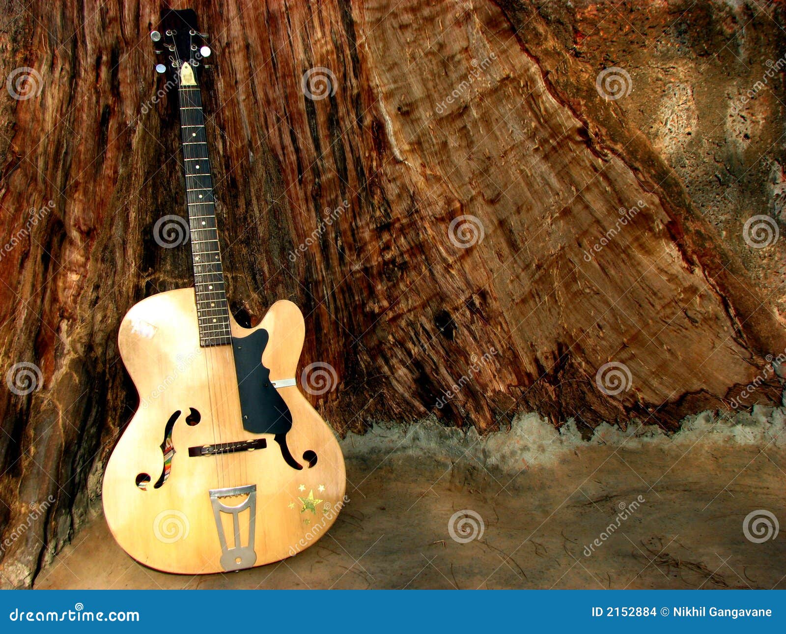 Guitar Woods stock photo. Image of bark, fretboards, beautiful 2152884