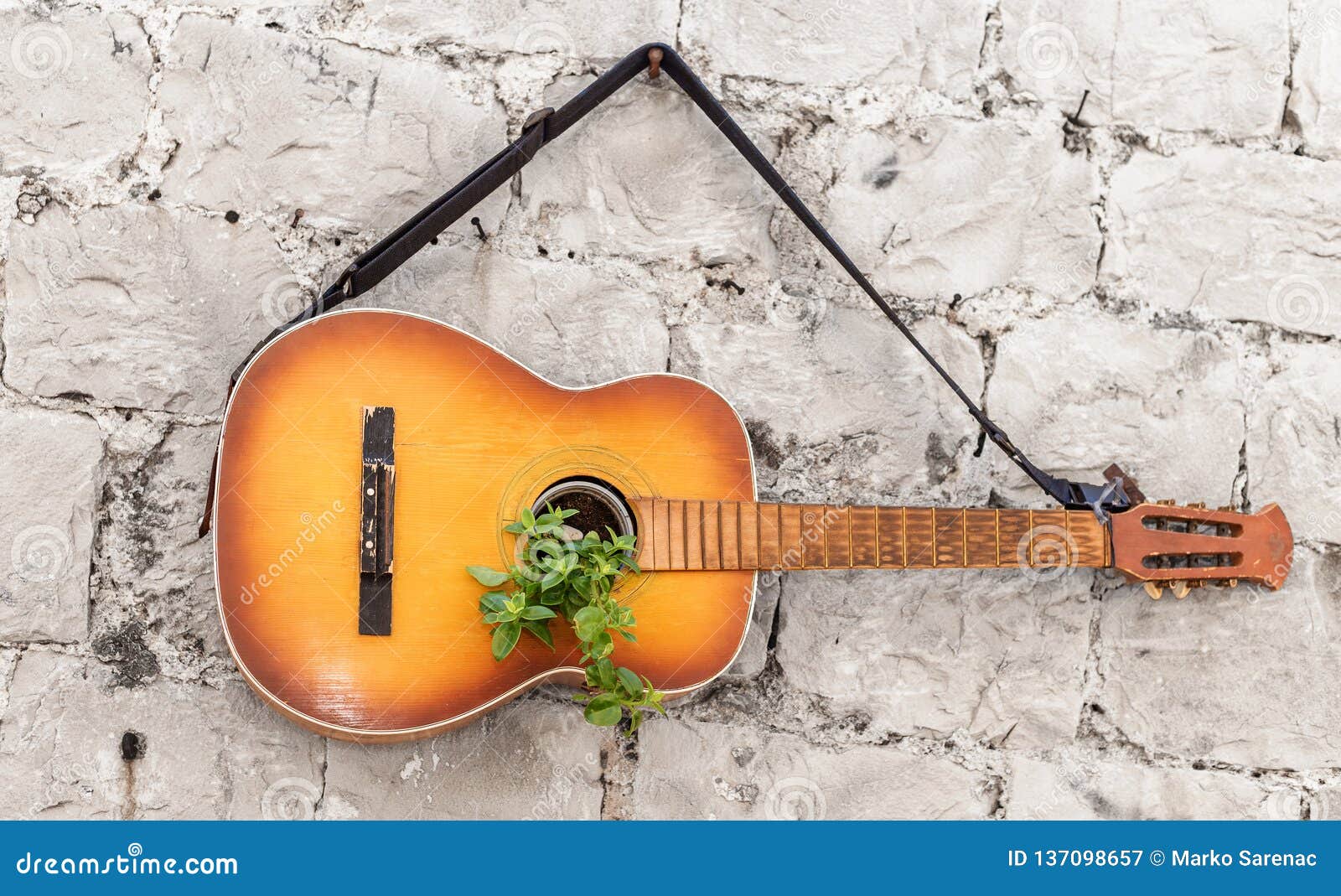 Guitare Décoration Fleurs Mur Détail Image stock - Image du vide, fleurs:  137098657