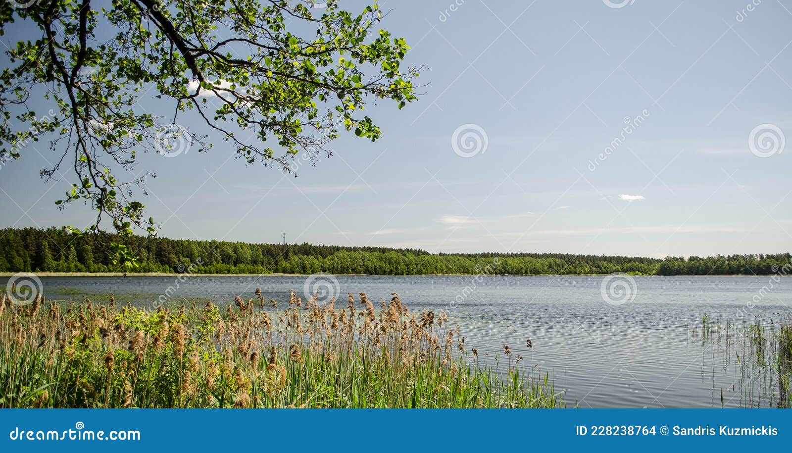 gulbju lake in sunny summer day, latvia