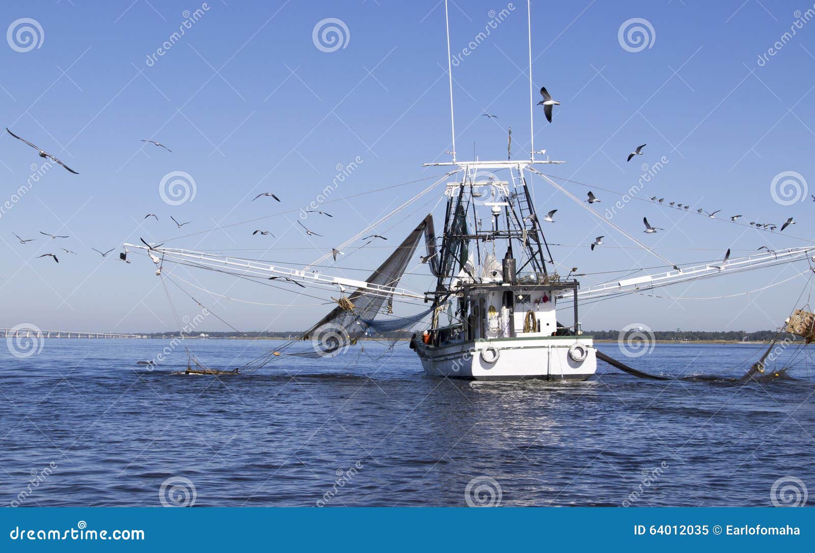 https://thumbs.dreamstime.com/z/gulf-coast-shrimping-boat-small-dolphin-off-left-net-gulls-64012035.jpg