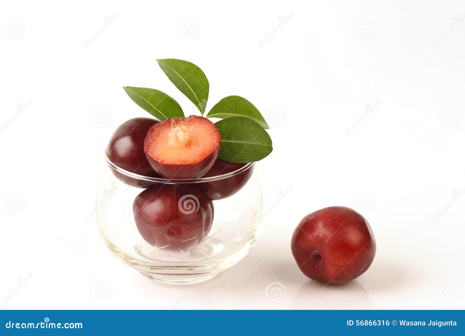 Gulf Ruby Plum. Stock Image 56867113