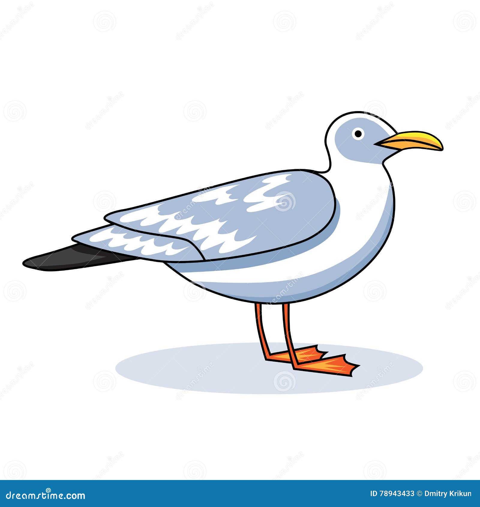 gull flight bird and seabird gull. ÃÂ¡artoon looking gull. sea gull, on white background. herring gull for your journal