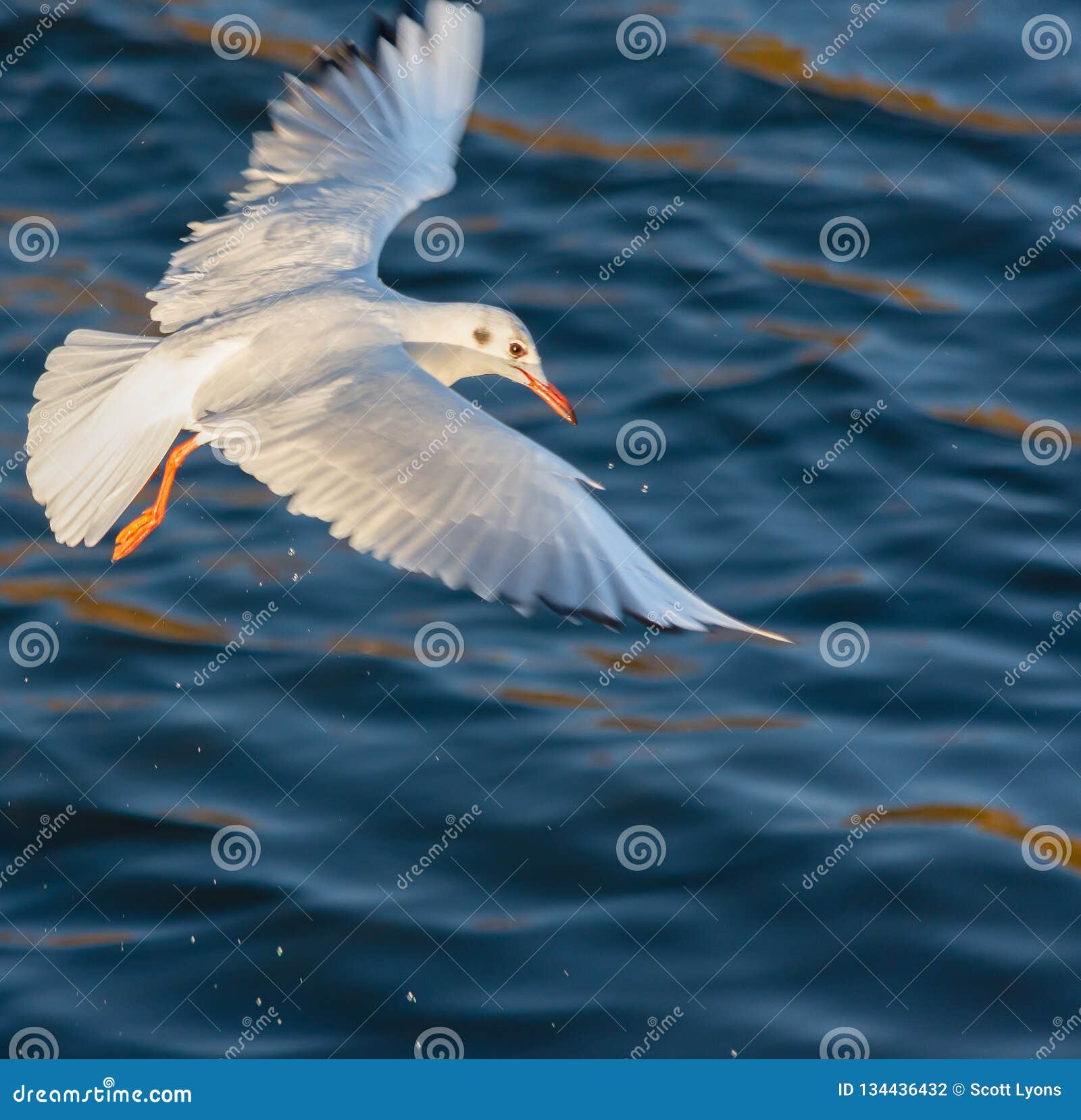 I Spent My Life Savings On BMW Gull Wings And It Was Worth It