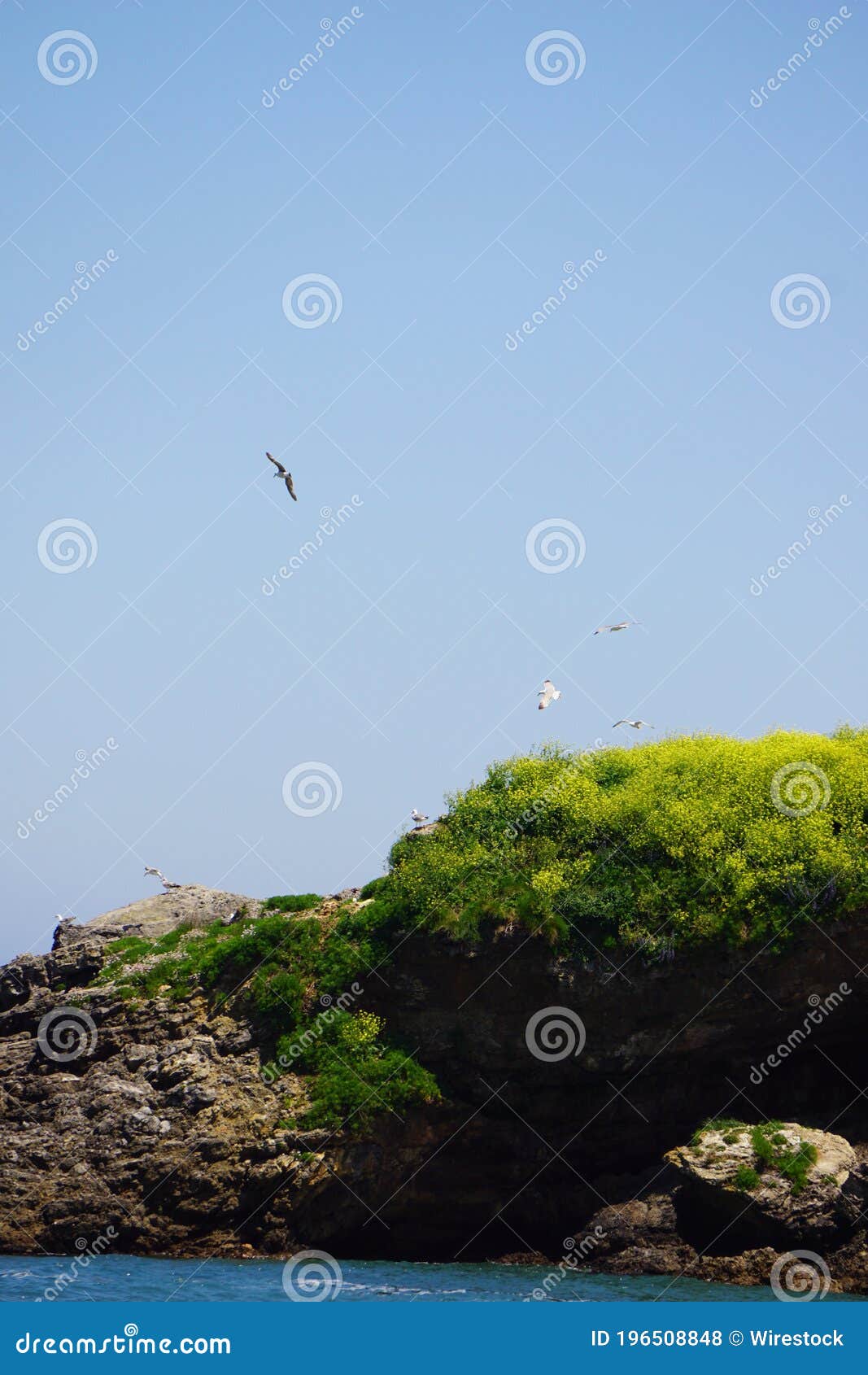 gulls nesting rock near a beach in spain