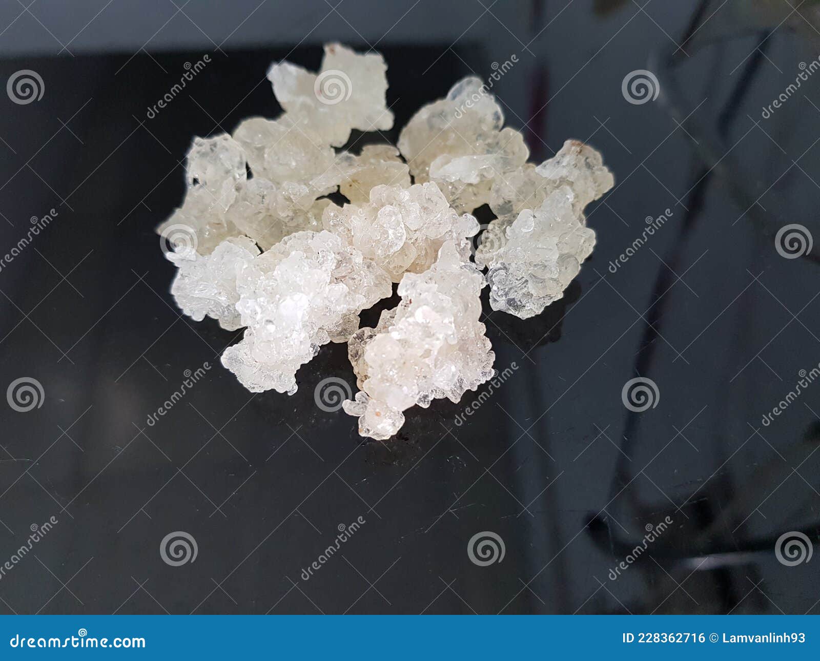 Gum Tragacanth Snow Bird Nest Was Cooked Many Dishes Such As: Sweet Soup,..  Stock Photo - Image of black, natural: 228362738