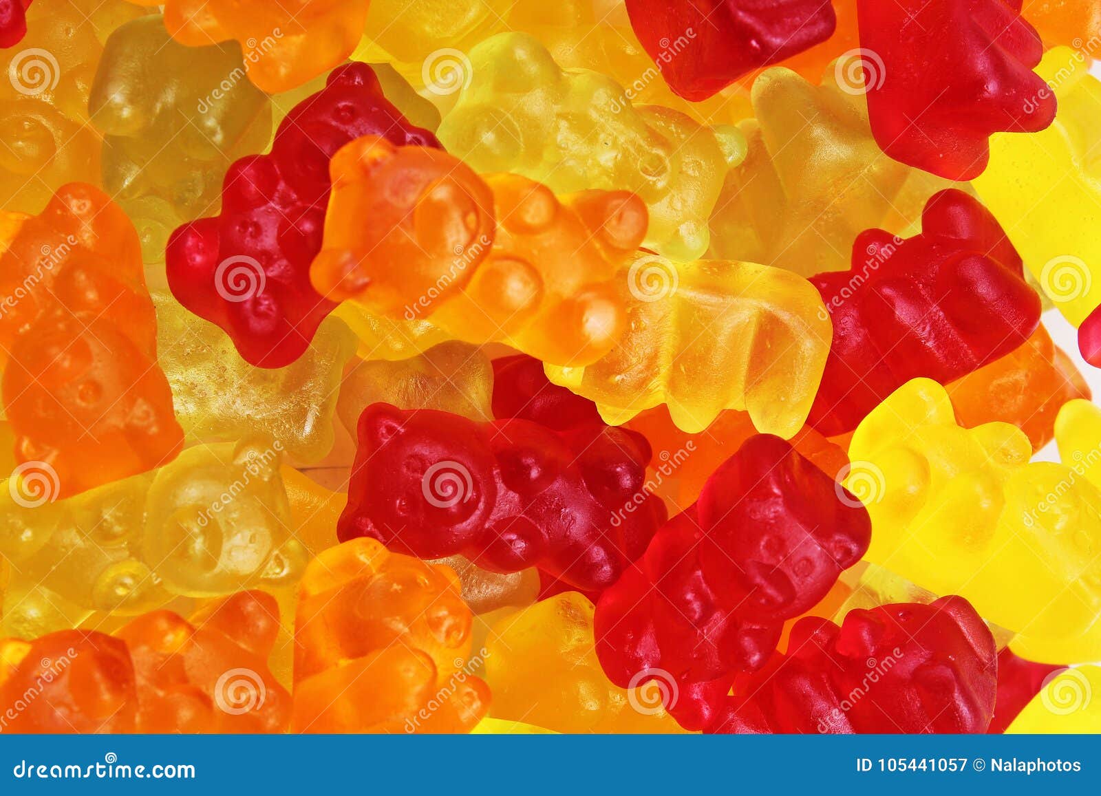 Gummy Bears  Sandy's Candy Land