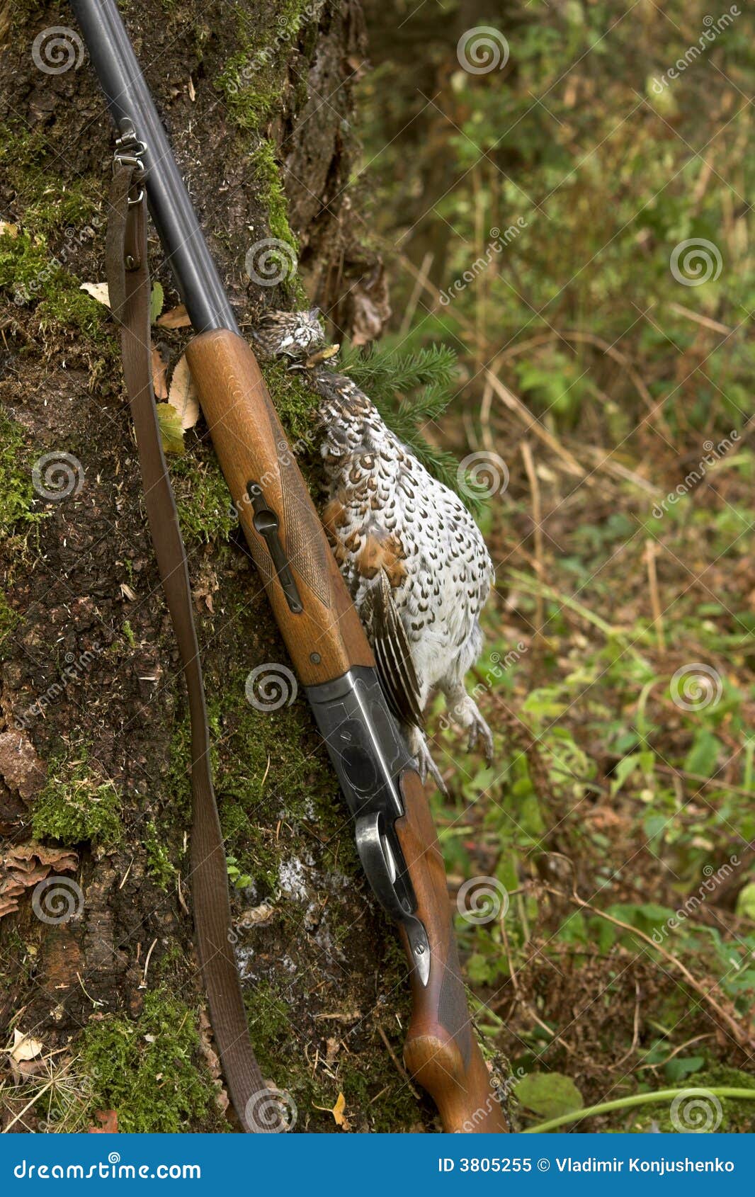 Gun and a bird stock image. Image of rural, wild, nature 3805255