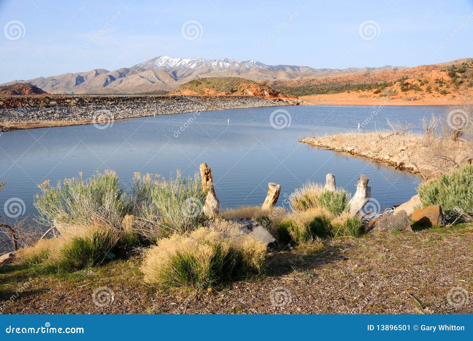 Gunlock Het Park Van De Staat Van Het Reservoir Utah Stock Afbeelding
