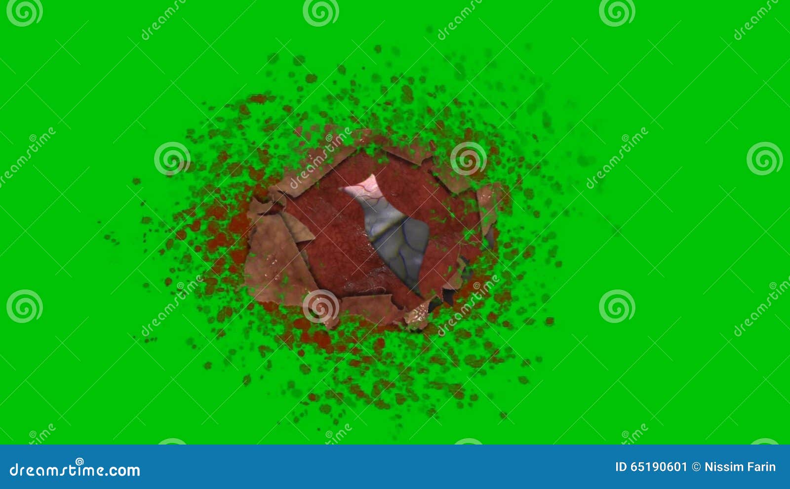 Gunshot Hit Wound with Blood Splatter on a Green Screen Background