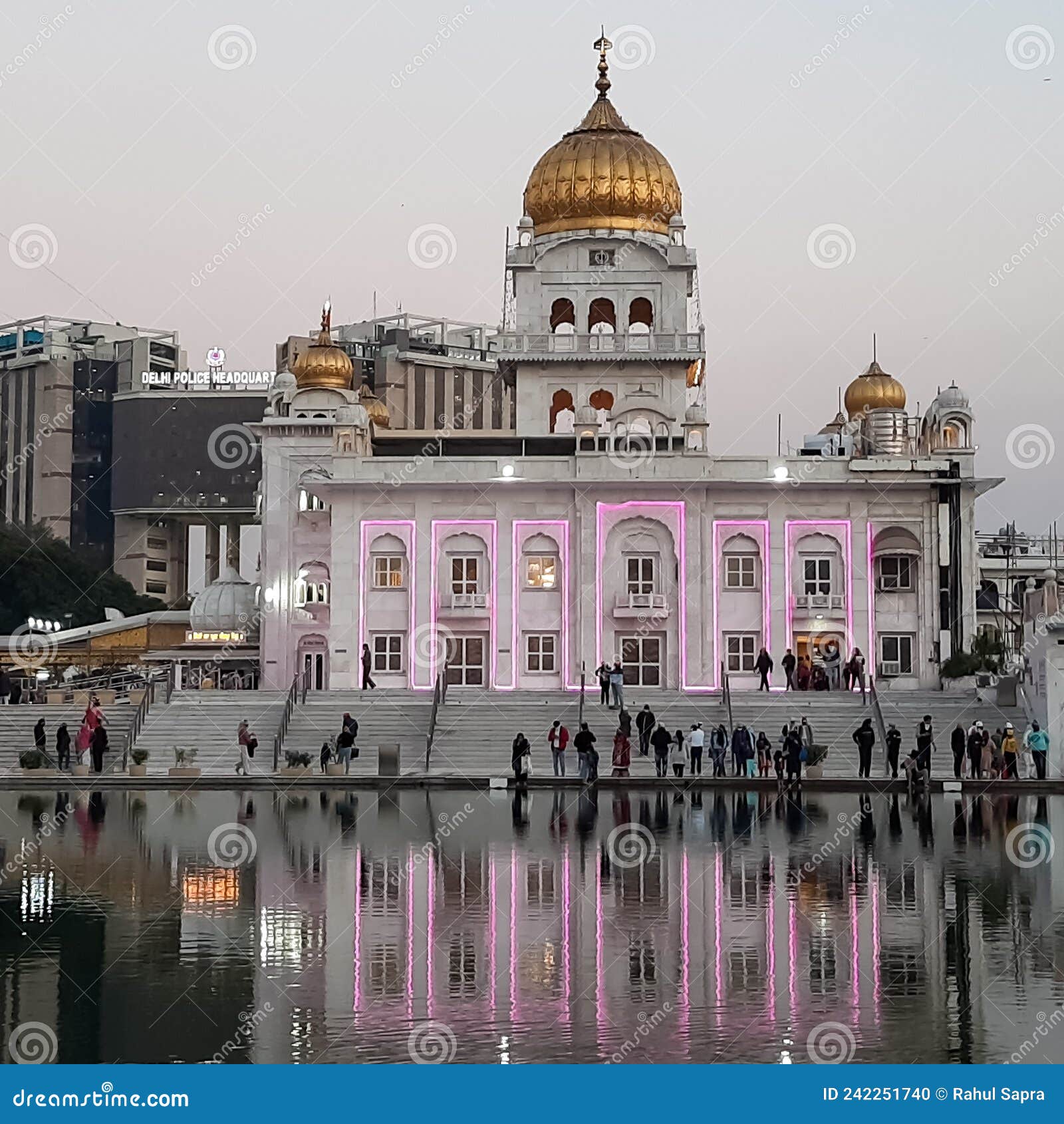 My Image 24