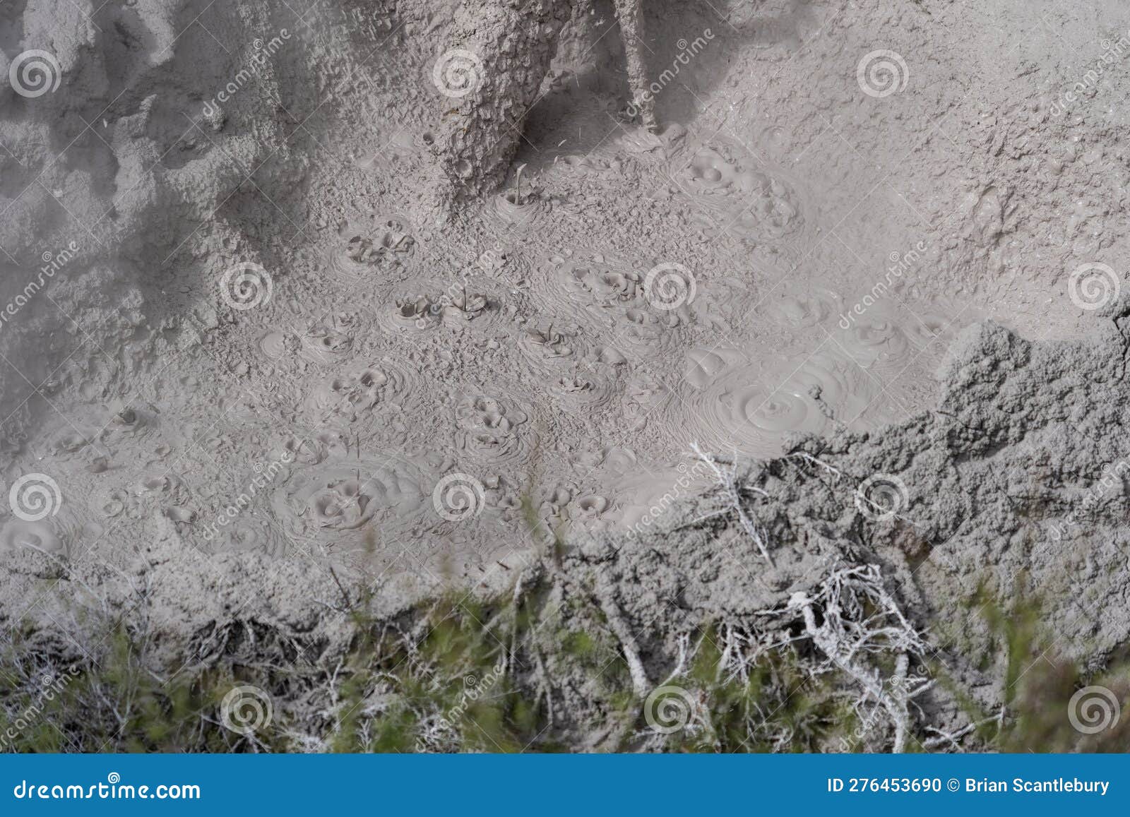 Gurgling and Bubbling Mud Pool Stock Photo Image of thermal, pool