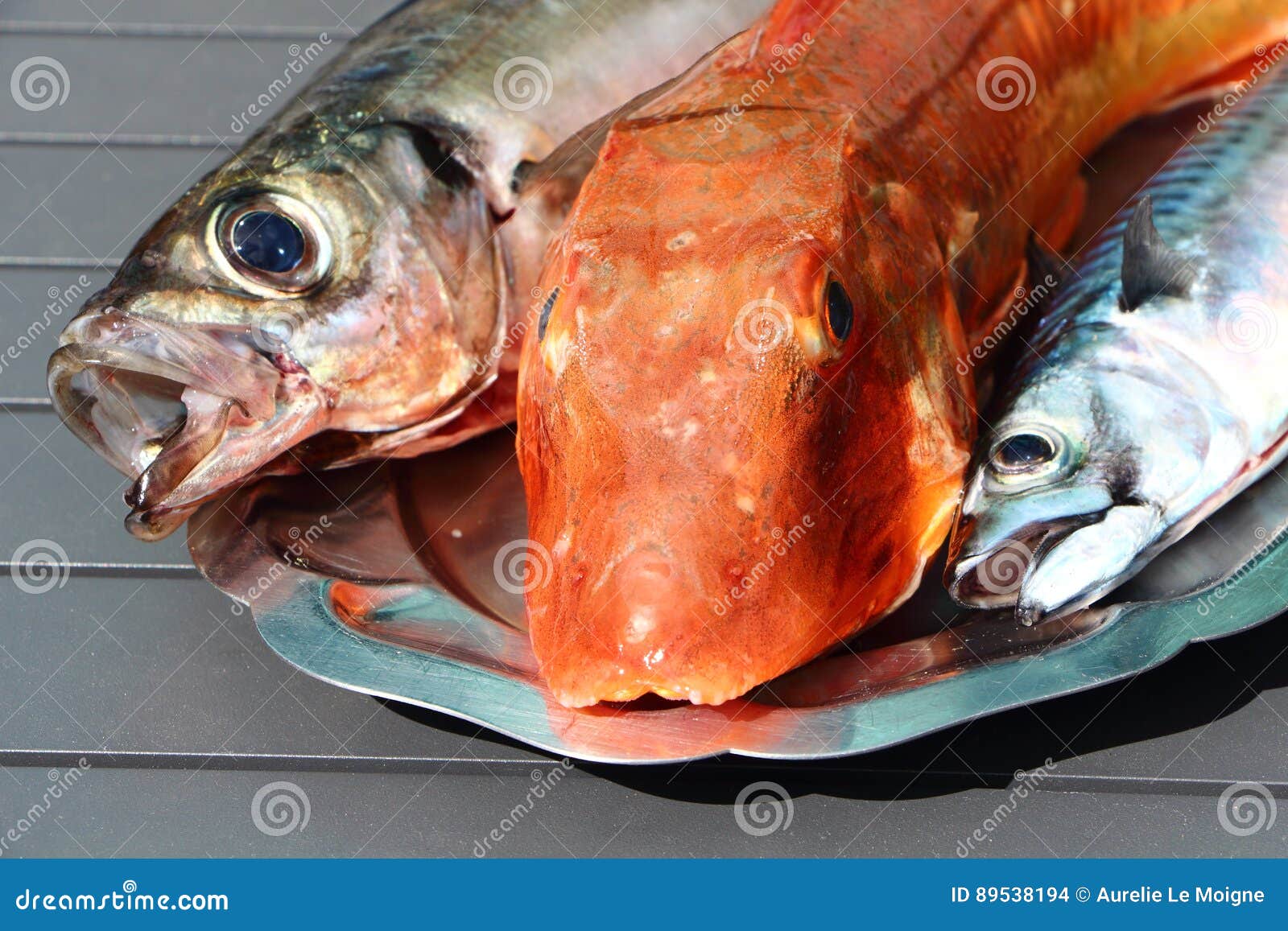 Gurnard, Mackerel and Horse Mackerel on a Pewter Dish Stock Photo