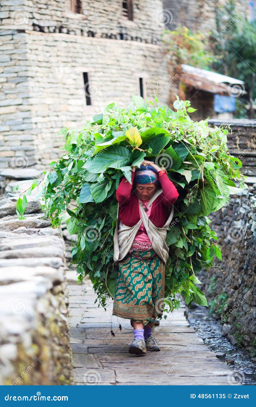 Group Of Gurung Women In Traditional Costumes. Himalaya, Nepal ...