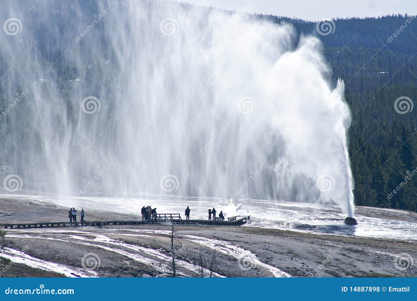 Beehive Geyser erupts at Yellowstone National Park.