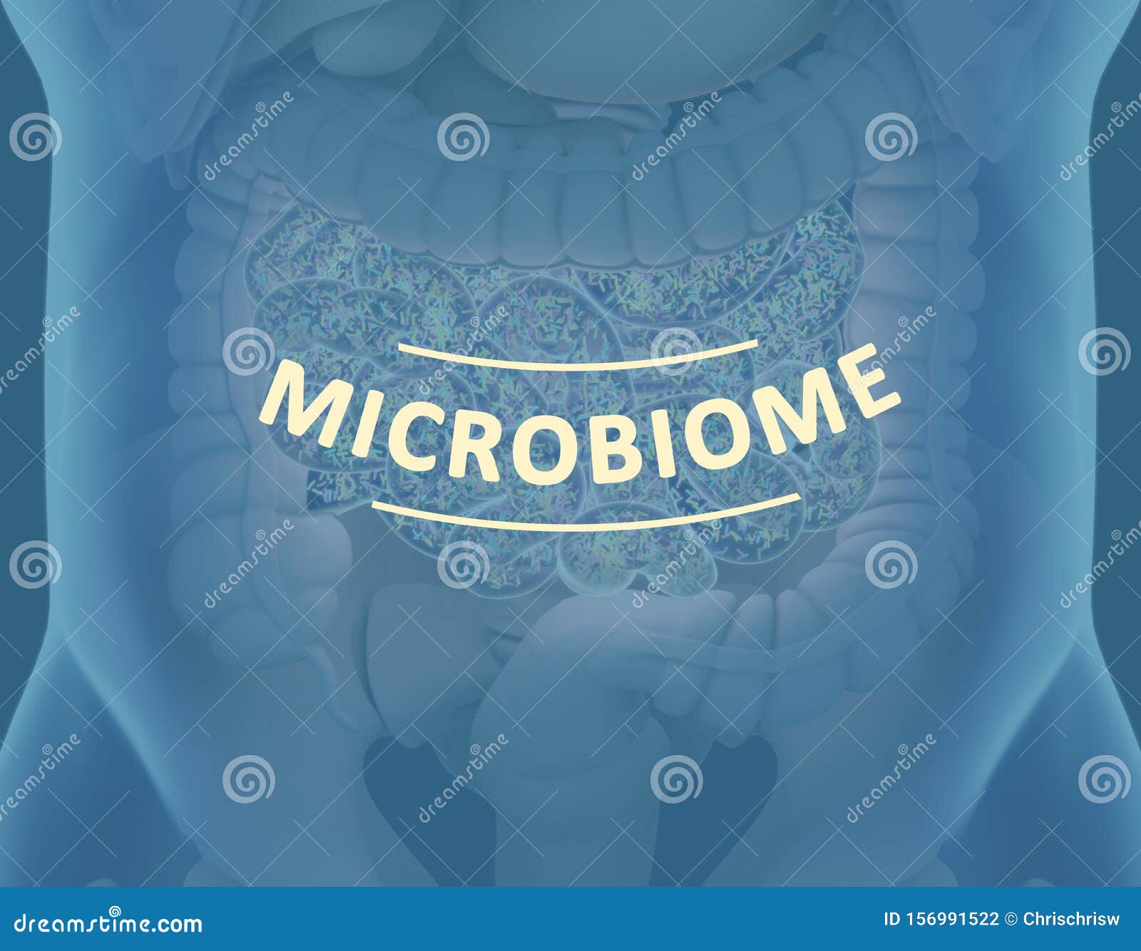 gut bacteria , gut flora, microbiome. bacteria inside the small intestine, concept, representation. 3d 