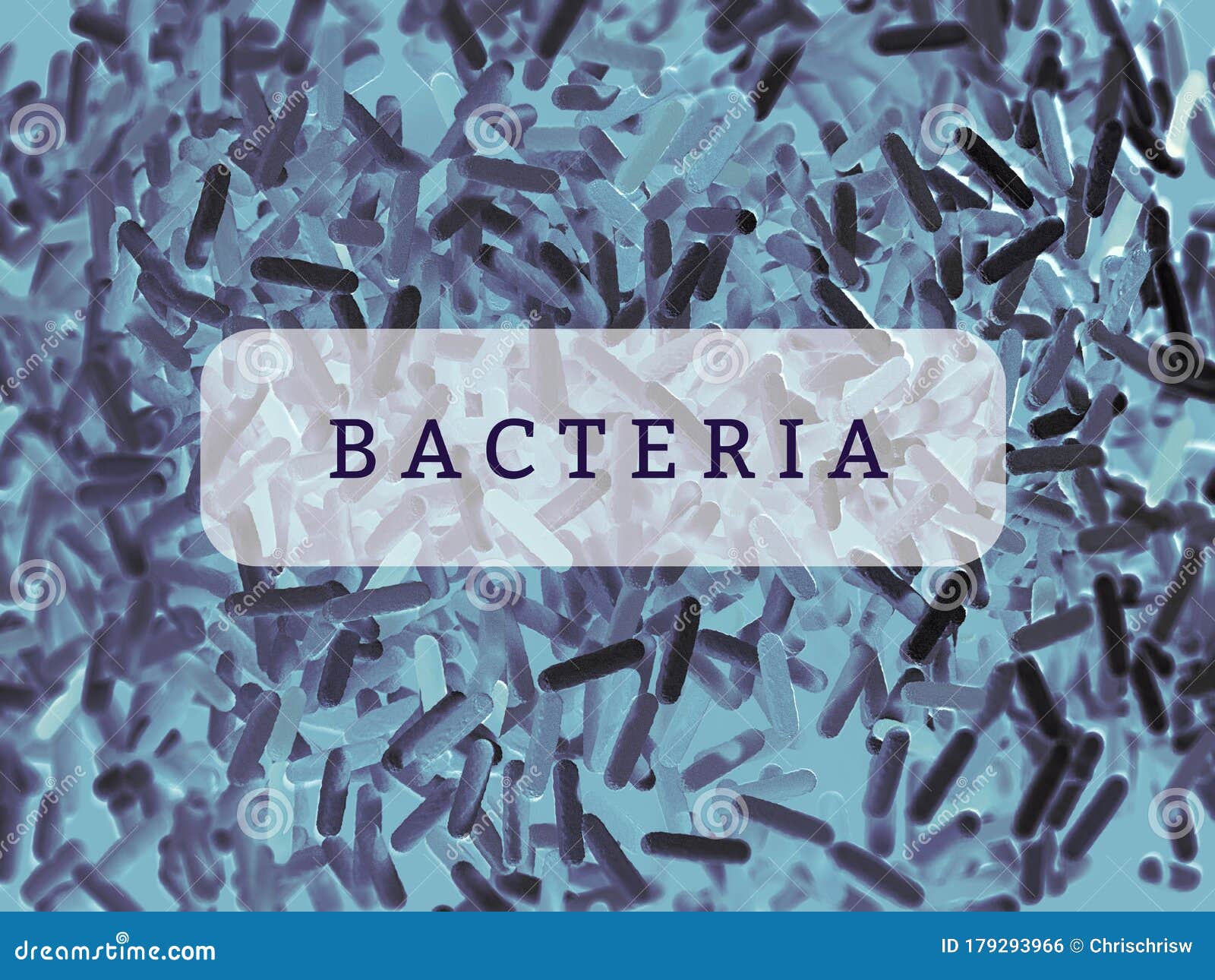Gut Bacteria , Gut Flora, Microbiome. Bacteria Inside The Small