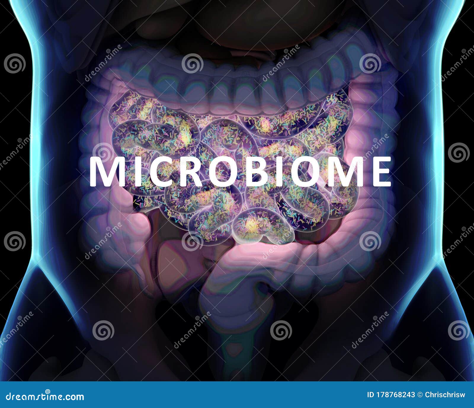 gut bacteria , gut flora, microbiome. bacteria inside the small intestine, concept, representation. 3d 